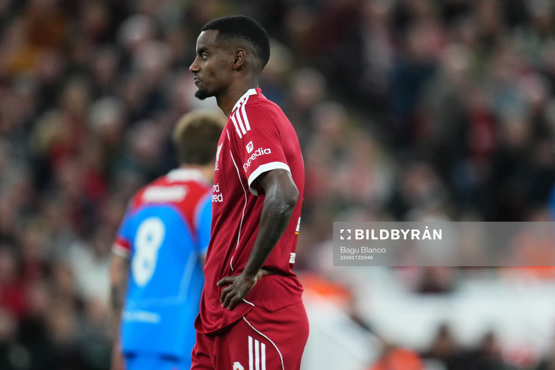 Alexander Isak of Liverpool