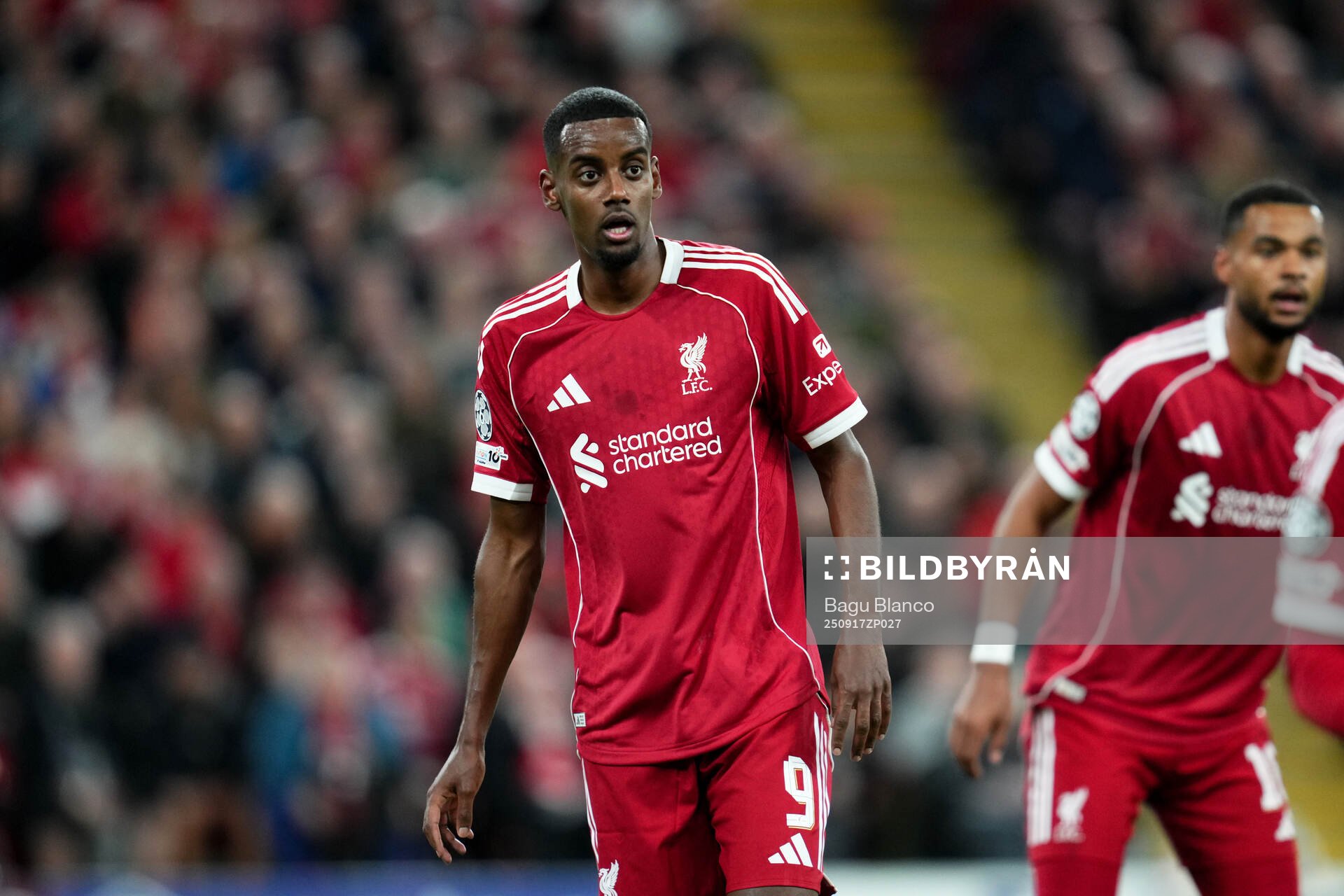 Alexander Isak of Liverpool