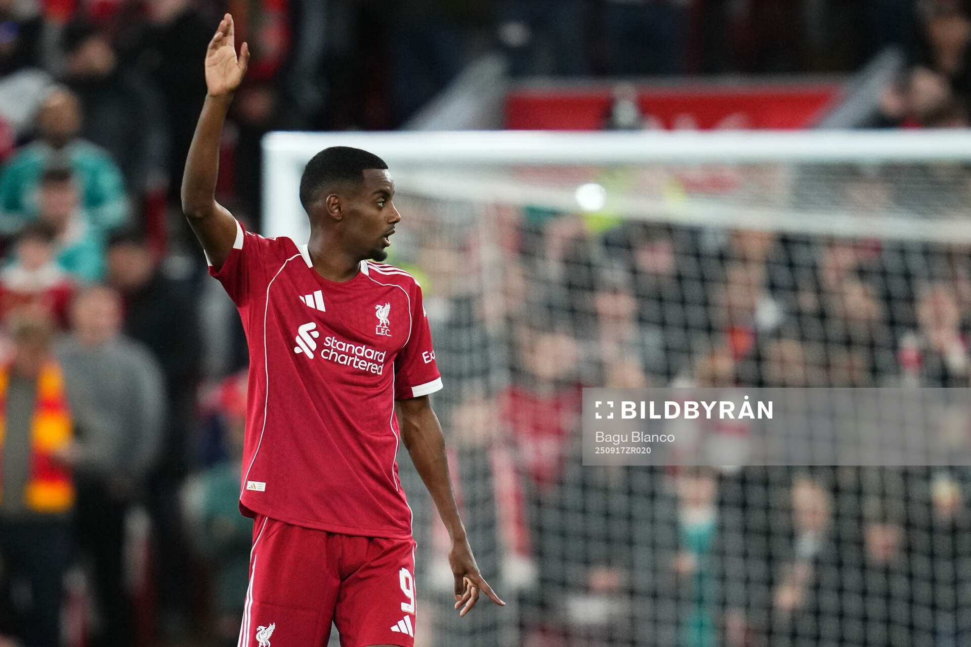 Alexander Isak of Liverpool
