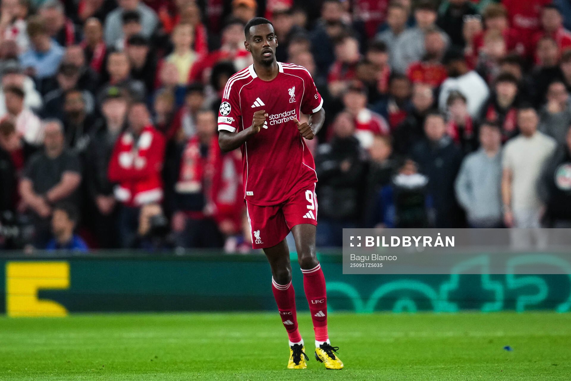 Alexander Isak of Liverpool