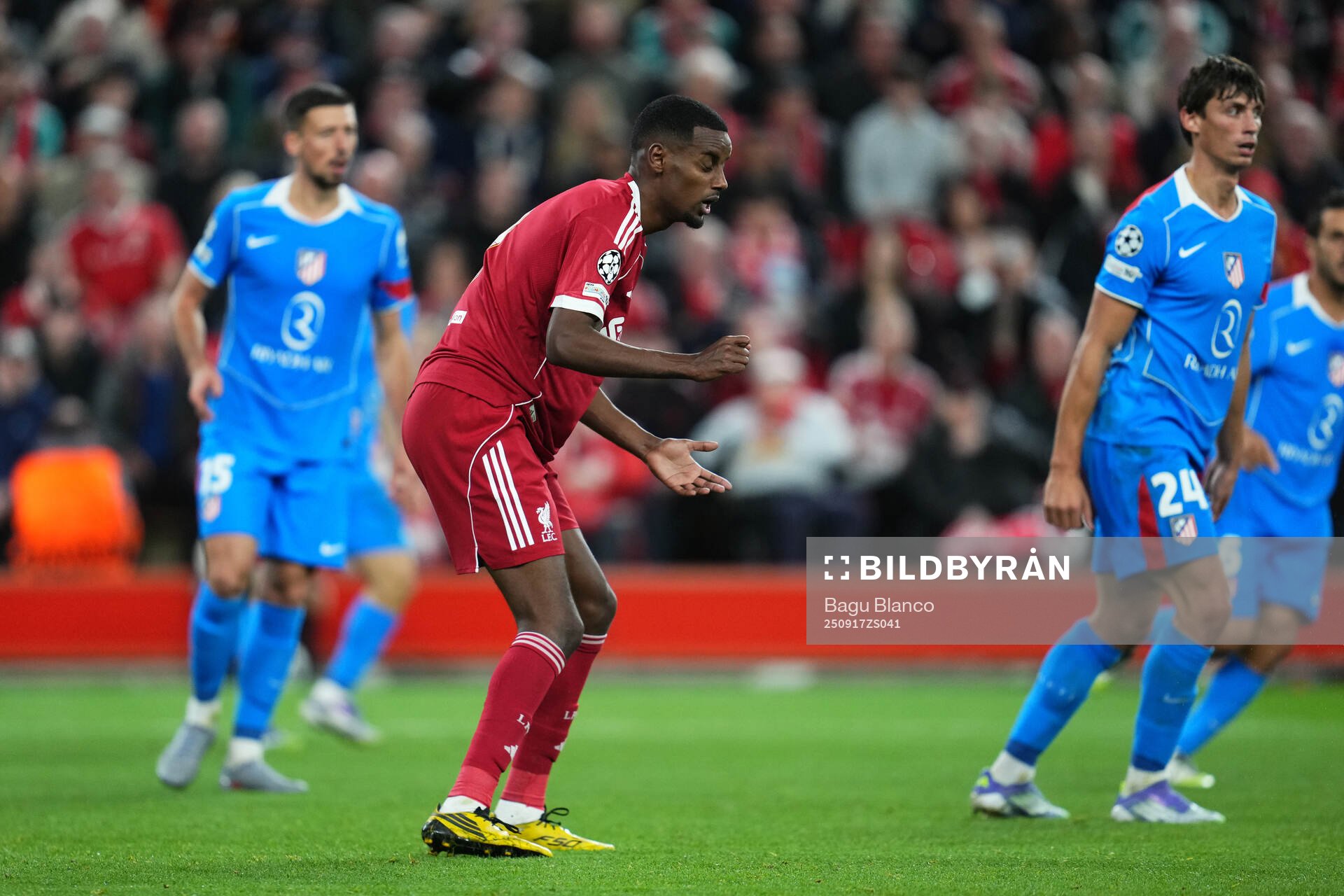 Alexander Isak of Liverpool