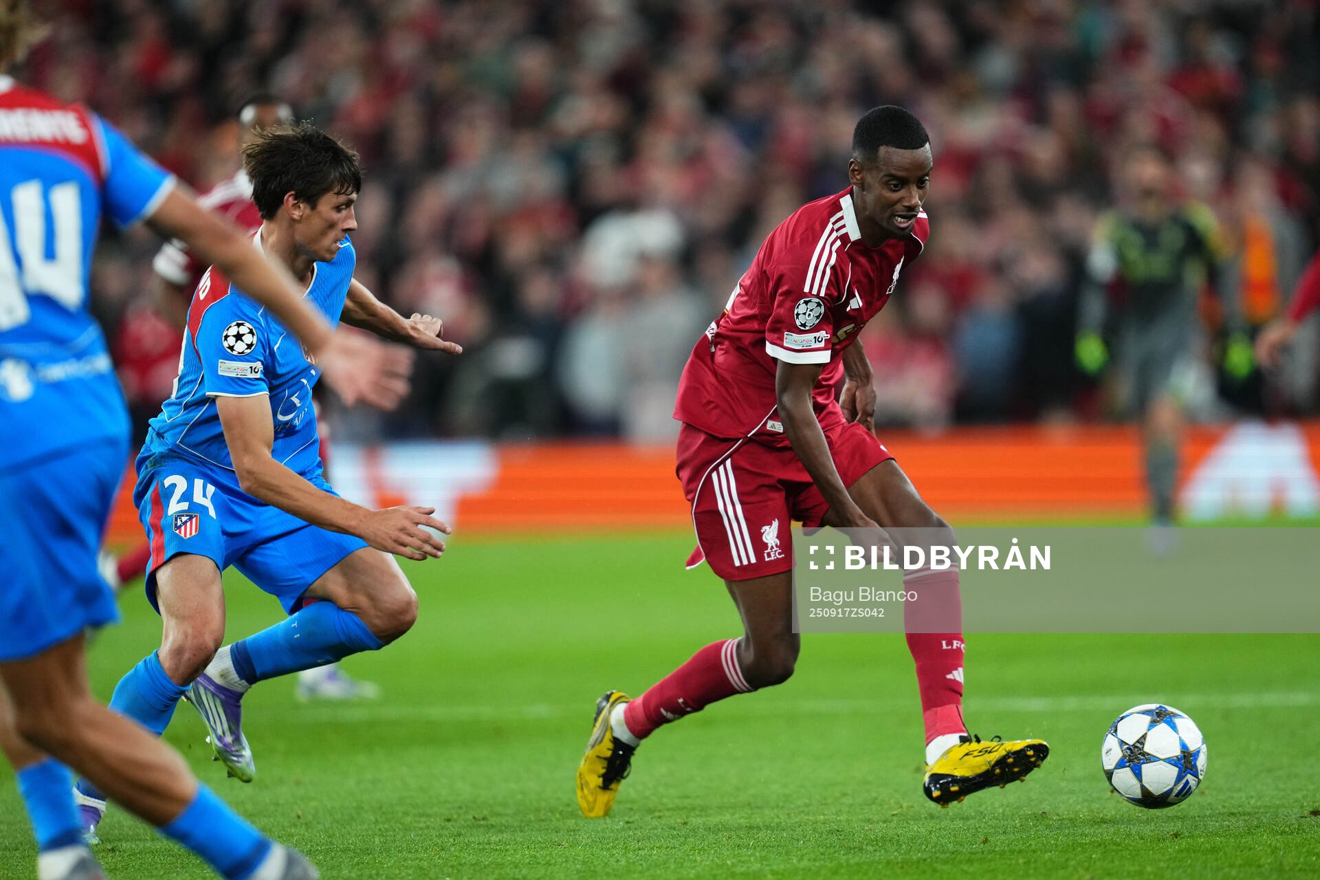 Alexander Isak of Liverpool