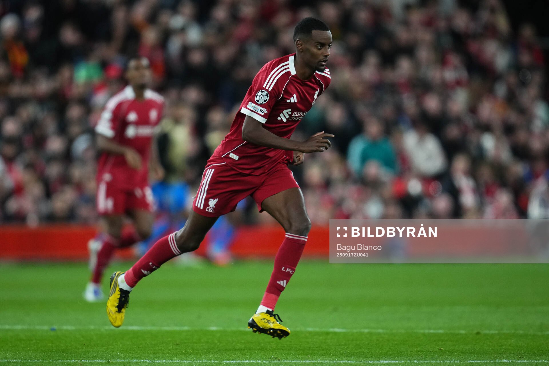 Alexander Isak of Liverpool