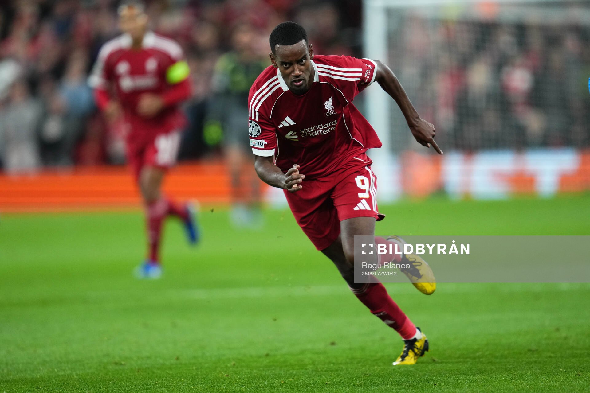 Alexander Isak of Liverpool
