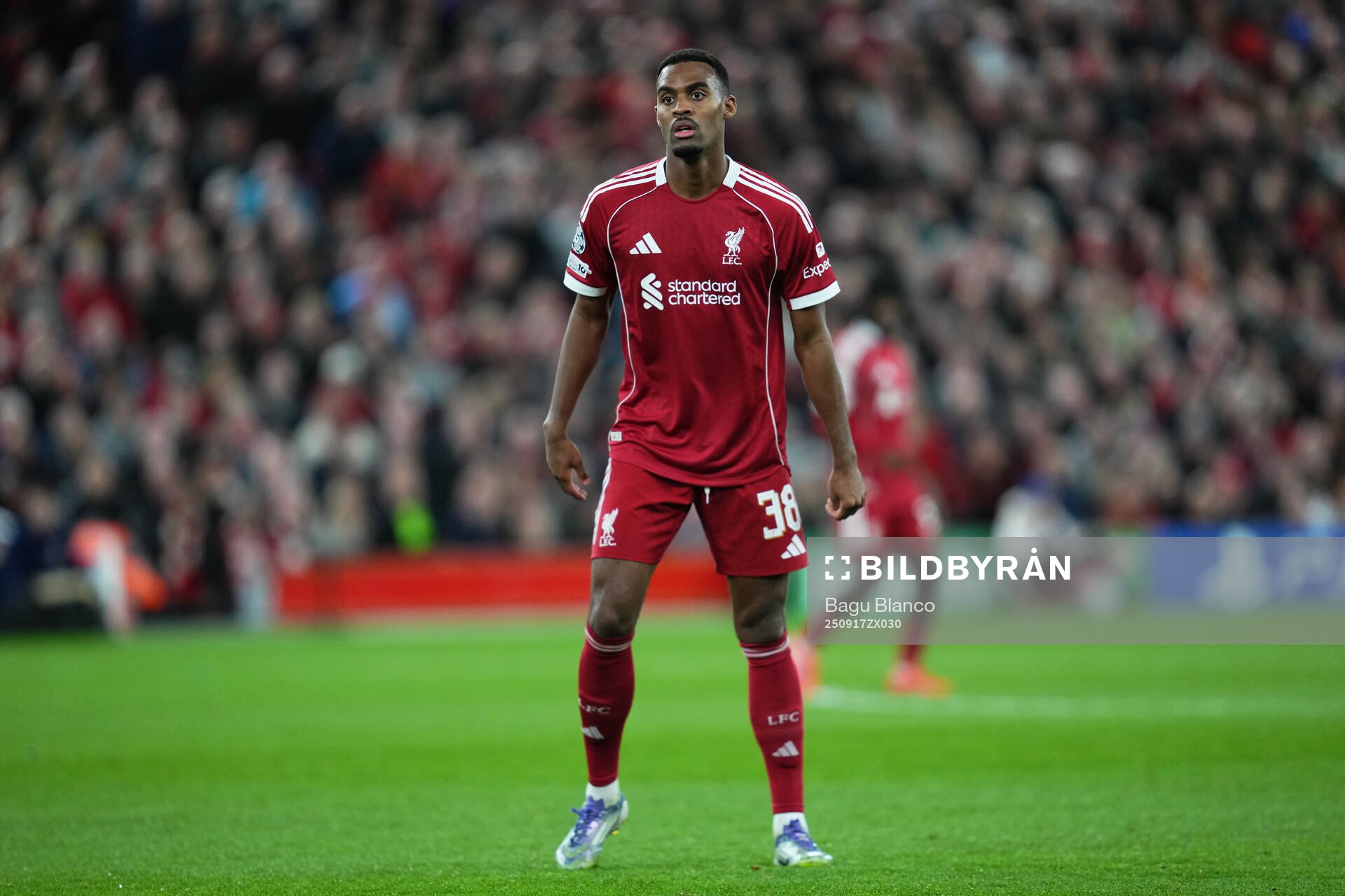 Ryan Gravenberch of Liverpool