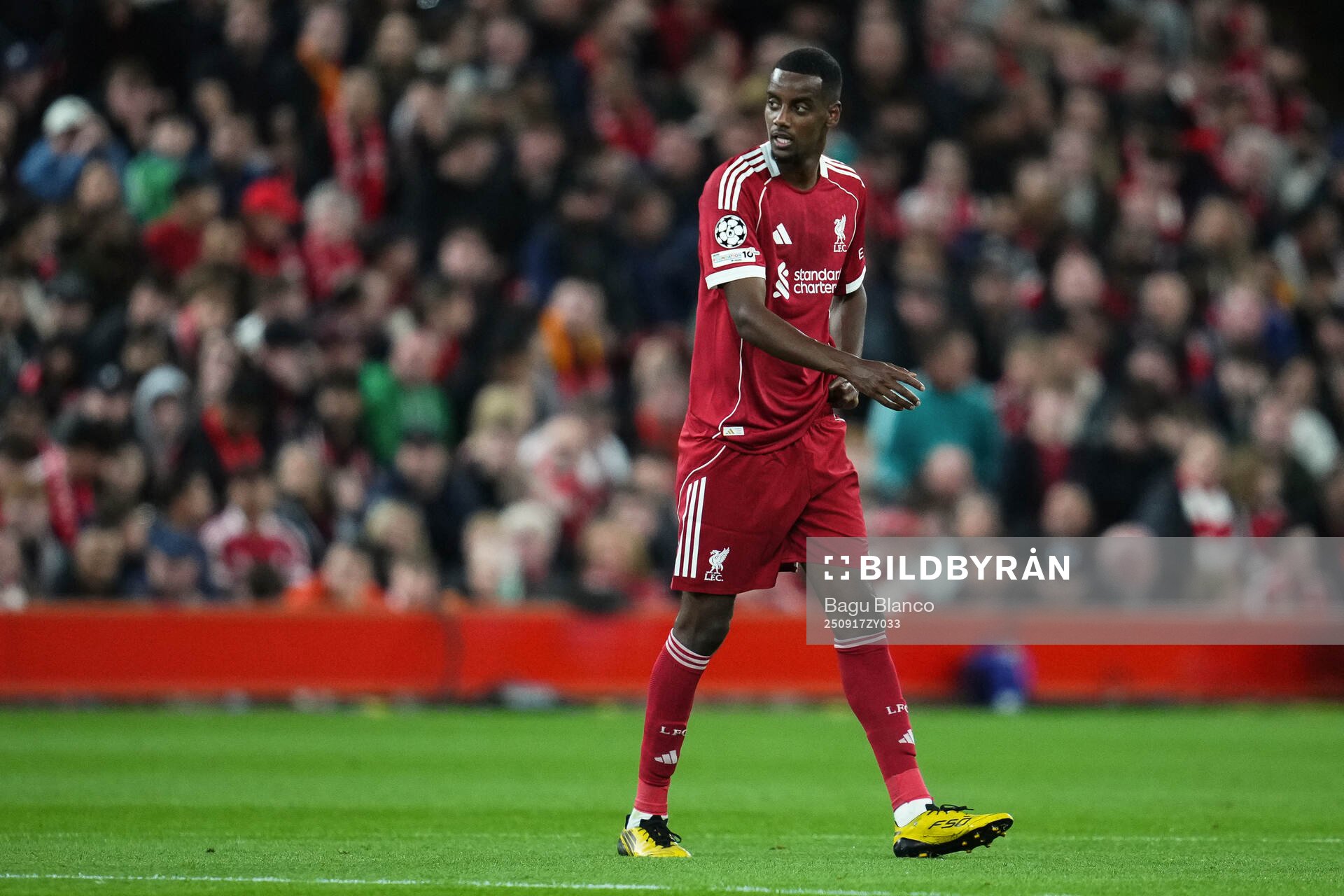 Alexander Isak of Liverpool