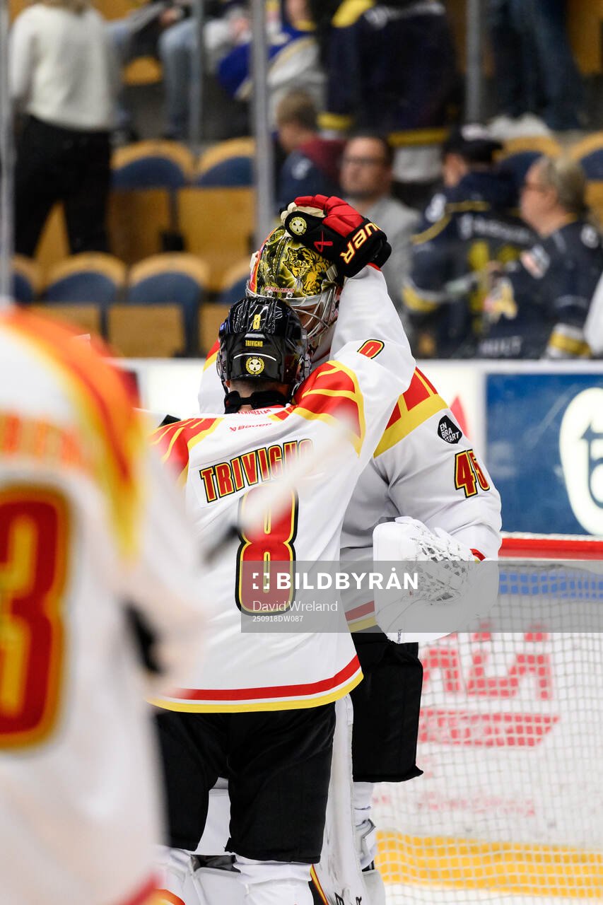 Brynäs Bobby Trivigno och Brynäs målvakt Damian Clara