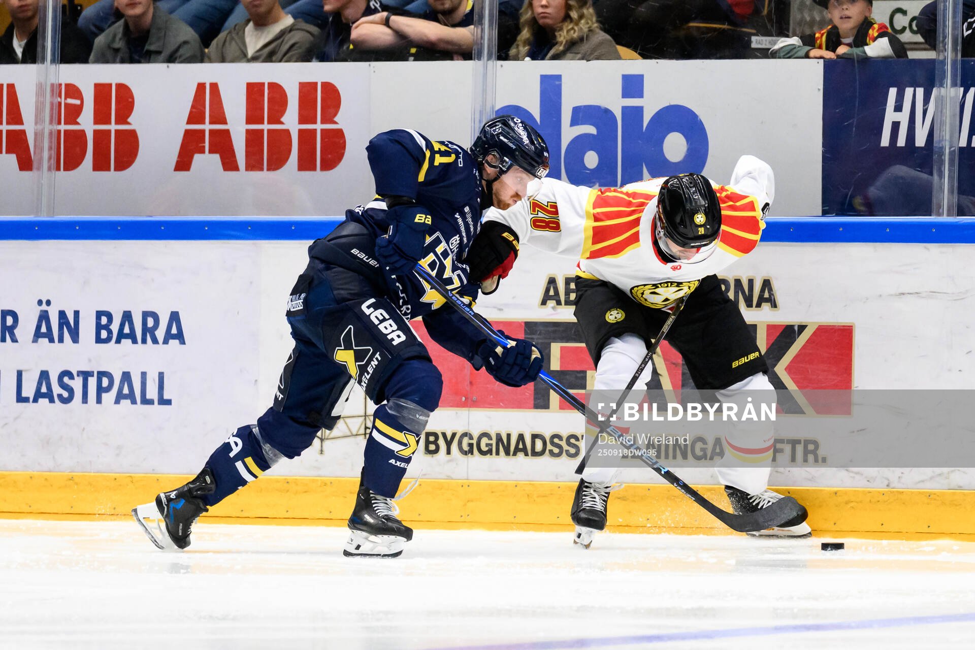 HV71s Riley Woods och Brynäs Johannes Kinnvall