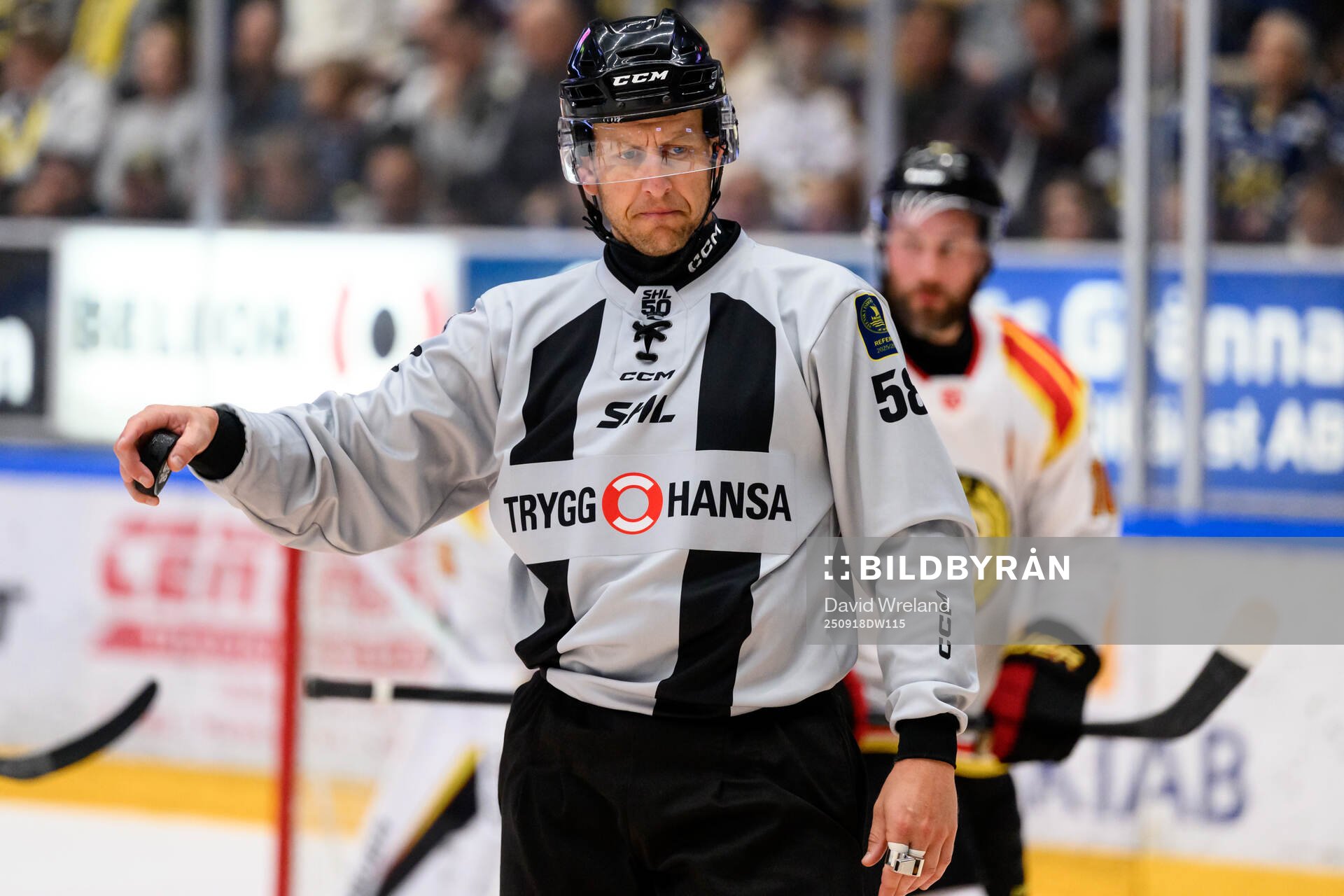 Linjedomare Rickard Nilsson