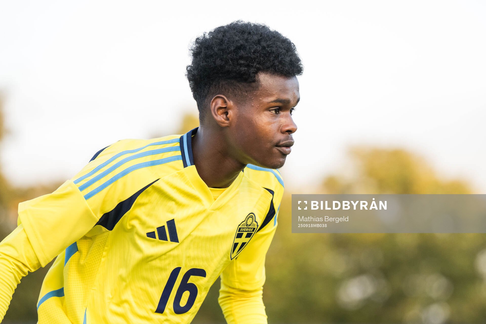 Sveriges Alinur Elmi Roble