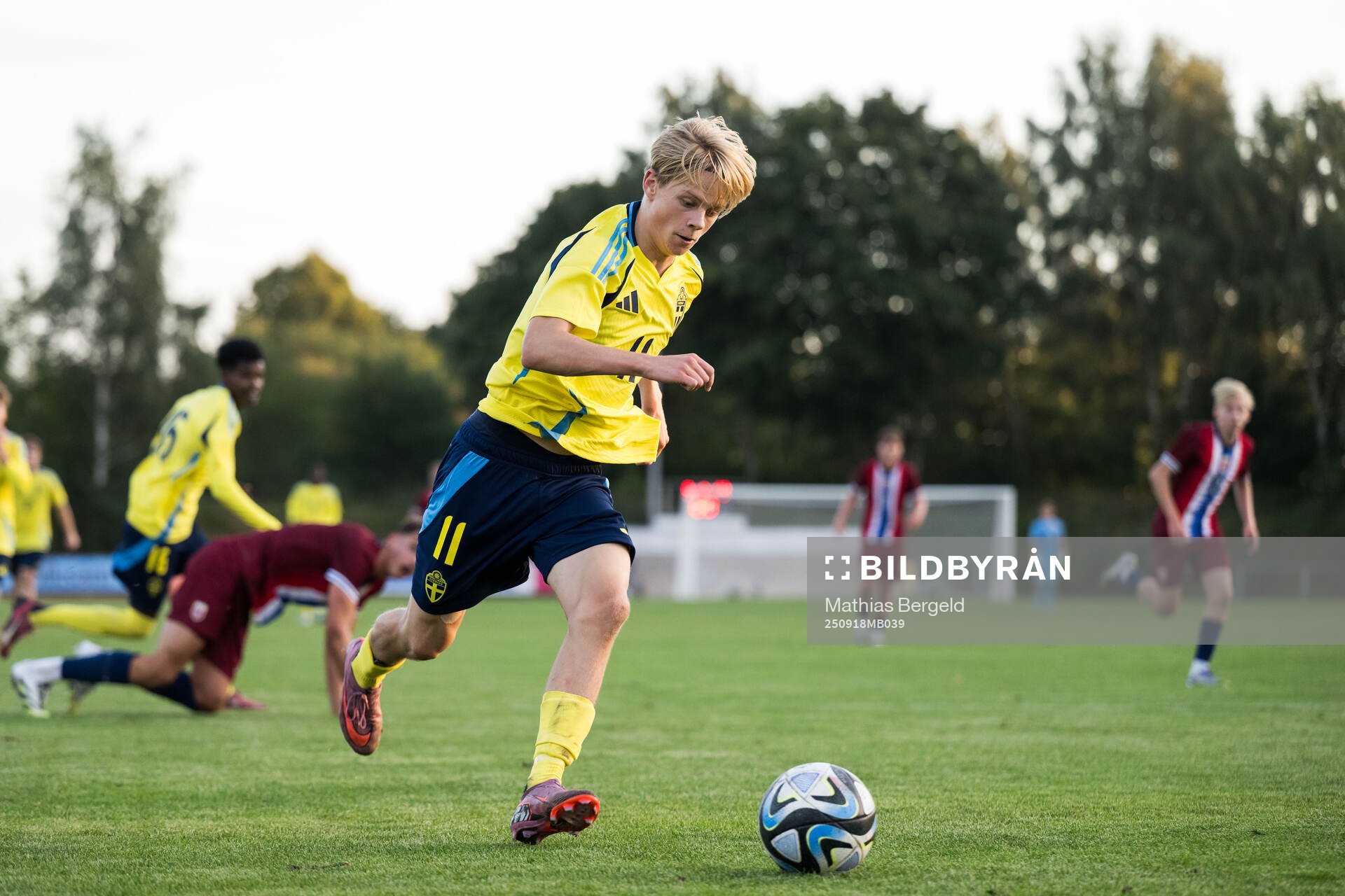 Sveriges Levi Hansas