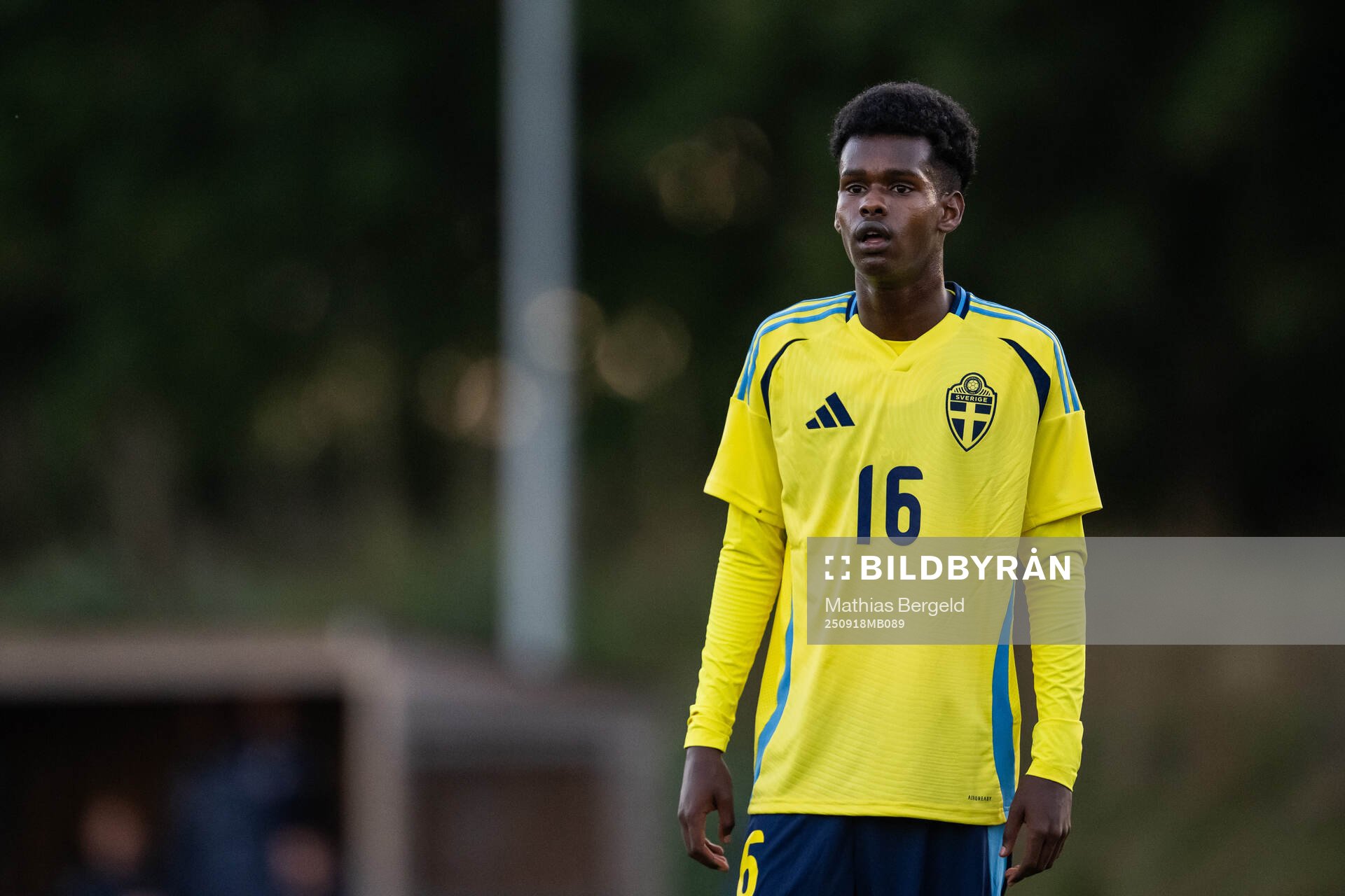 Sveriges Alinur Elmi Roble
