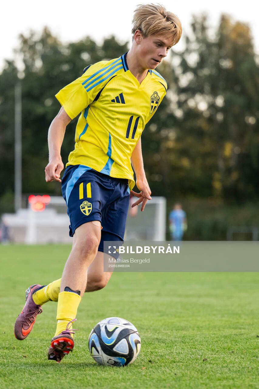 Sveriges Levi Hansas