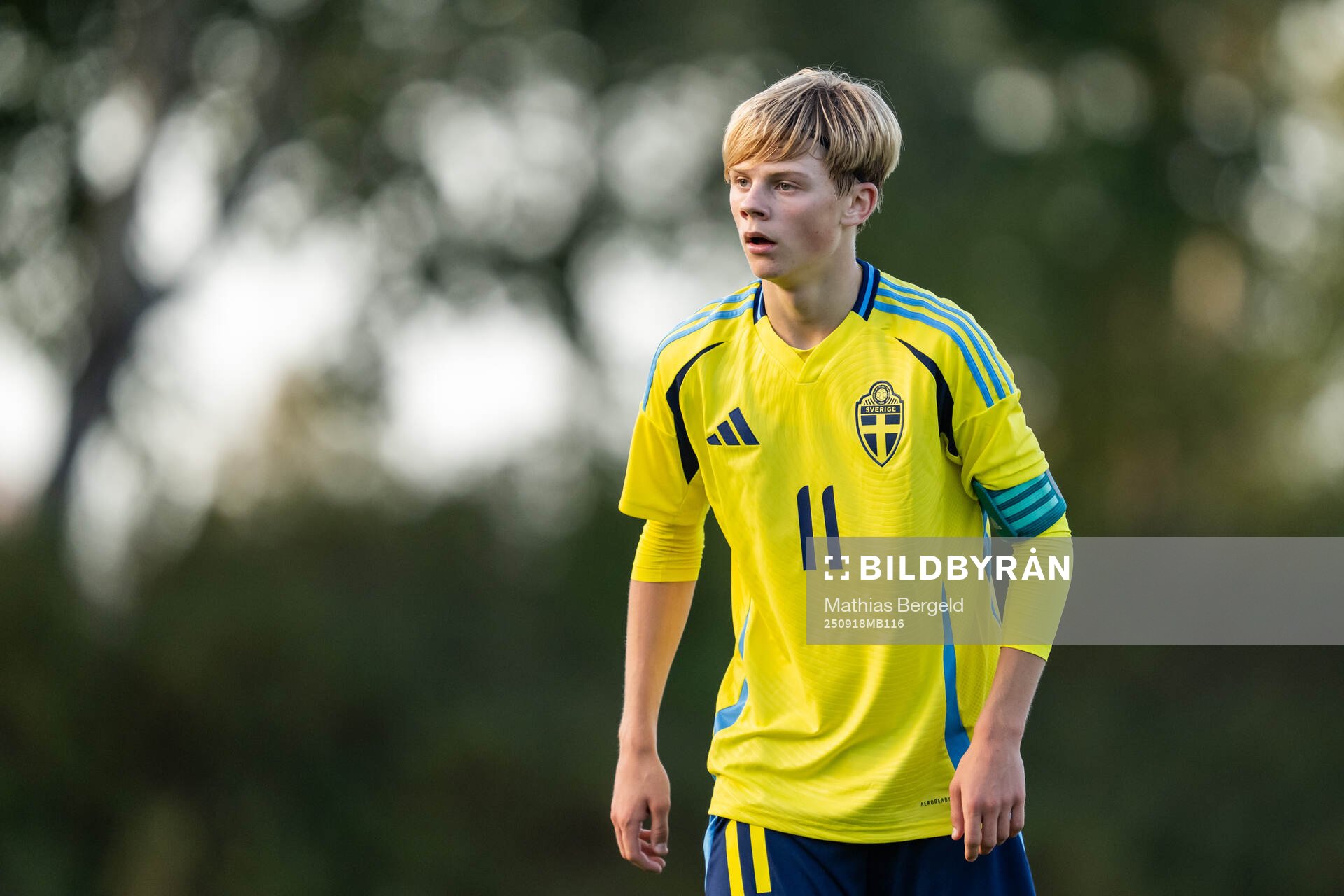 Sveriges Levi Hansas