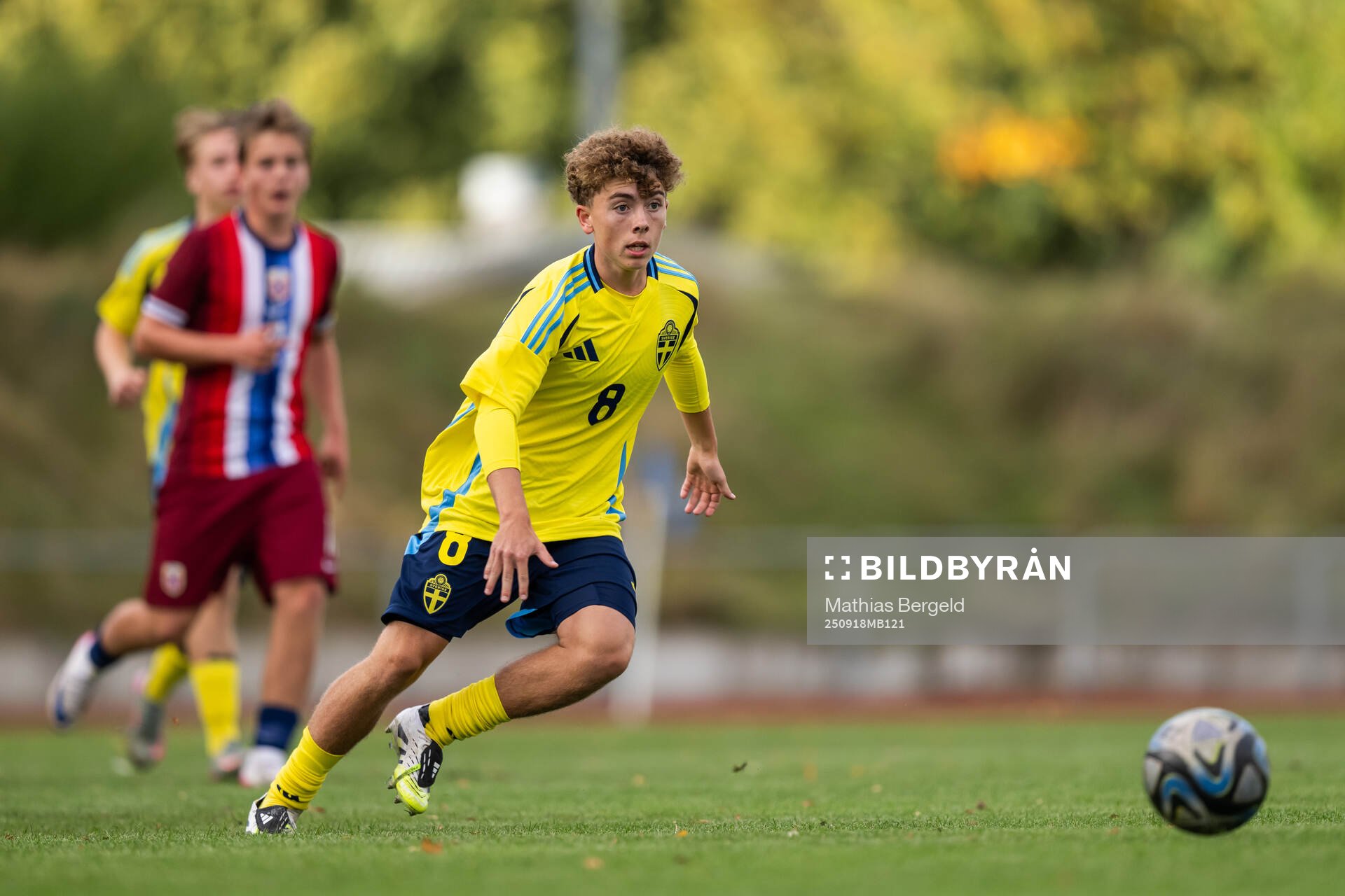 Sveriges Colin Stark