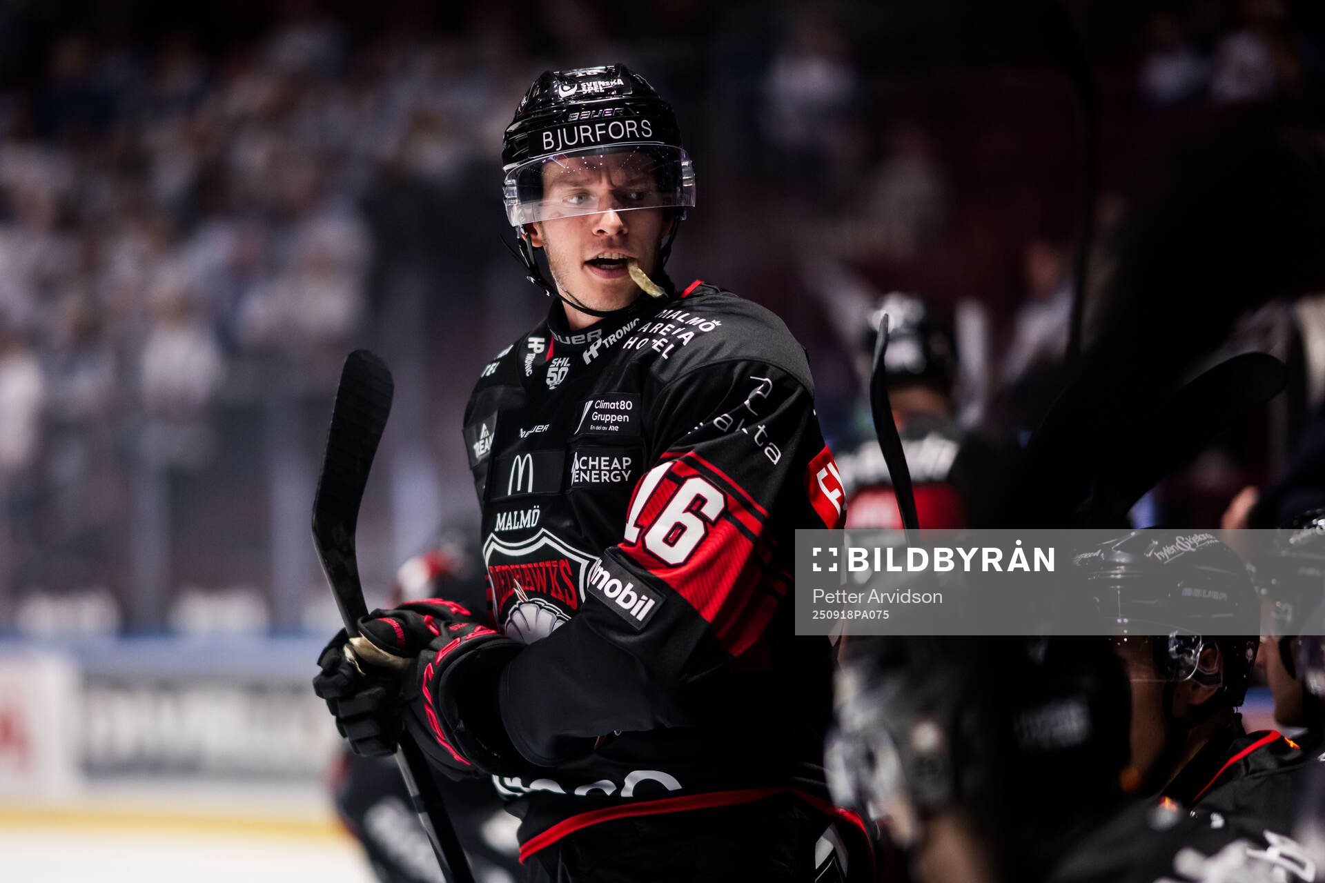 Malmö Redhawks Maximilian Eisenmenger