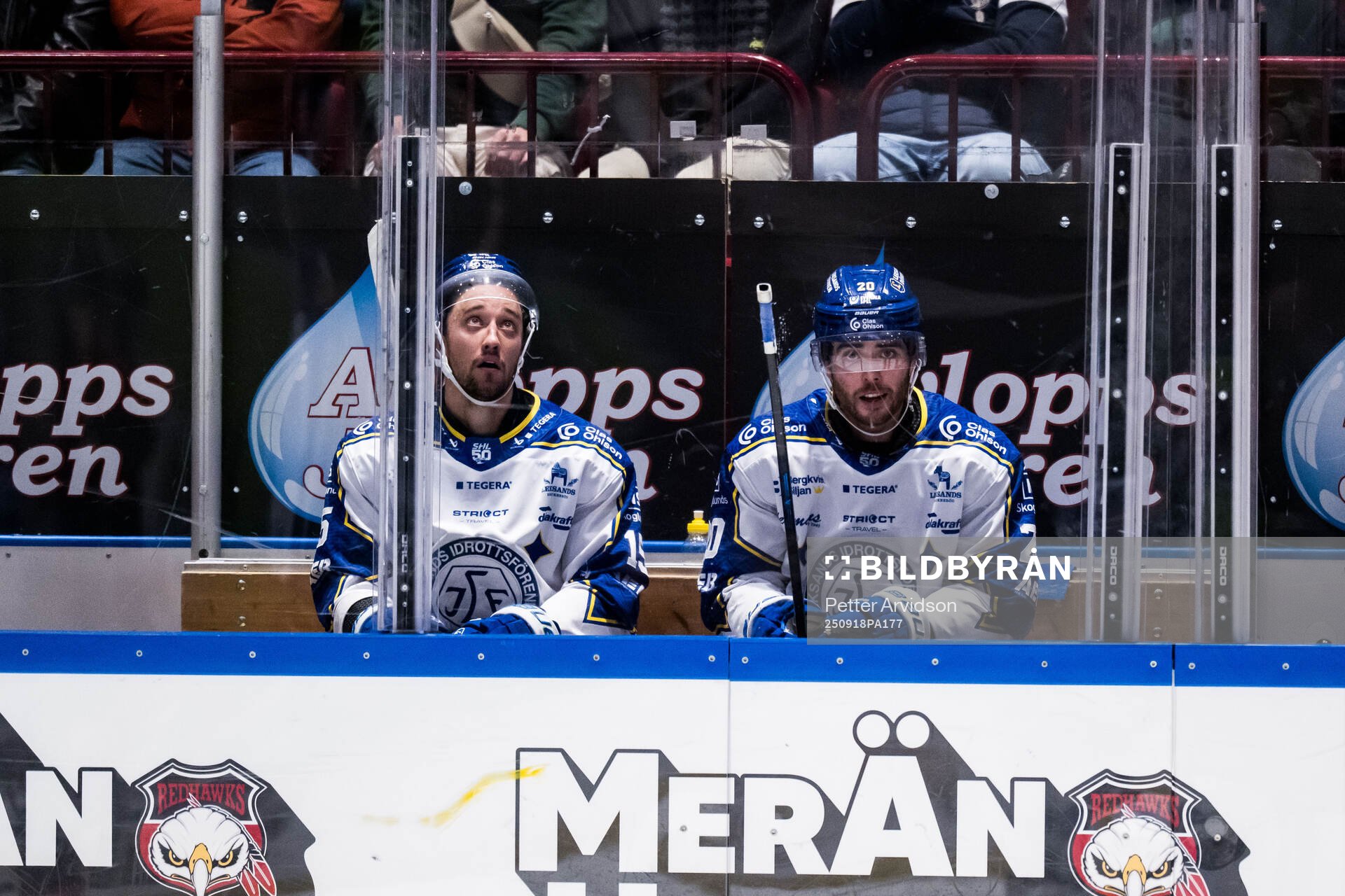 Leksands Max Veronneau och Nolan Stevens