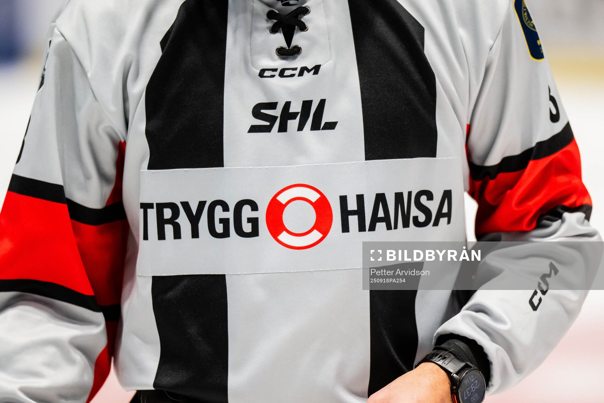 Trygg Hansa på domarna