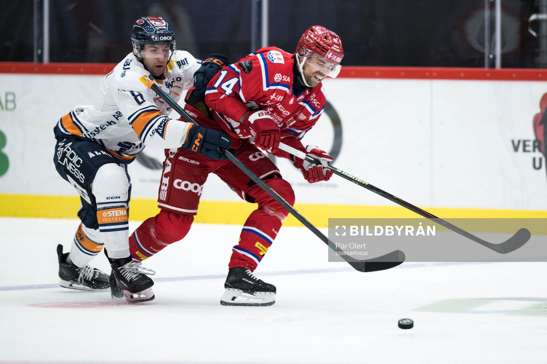 Växjös Zachary Giuttari och Timrås Emil Pettersson