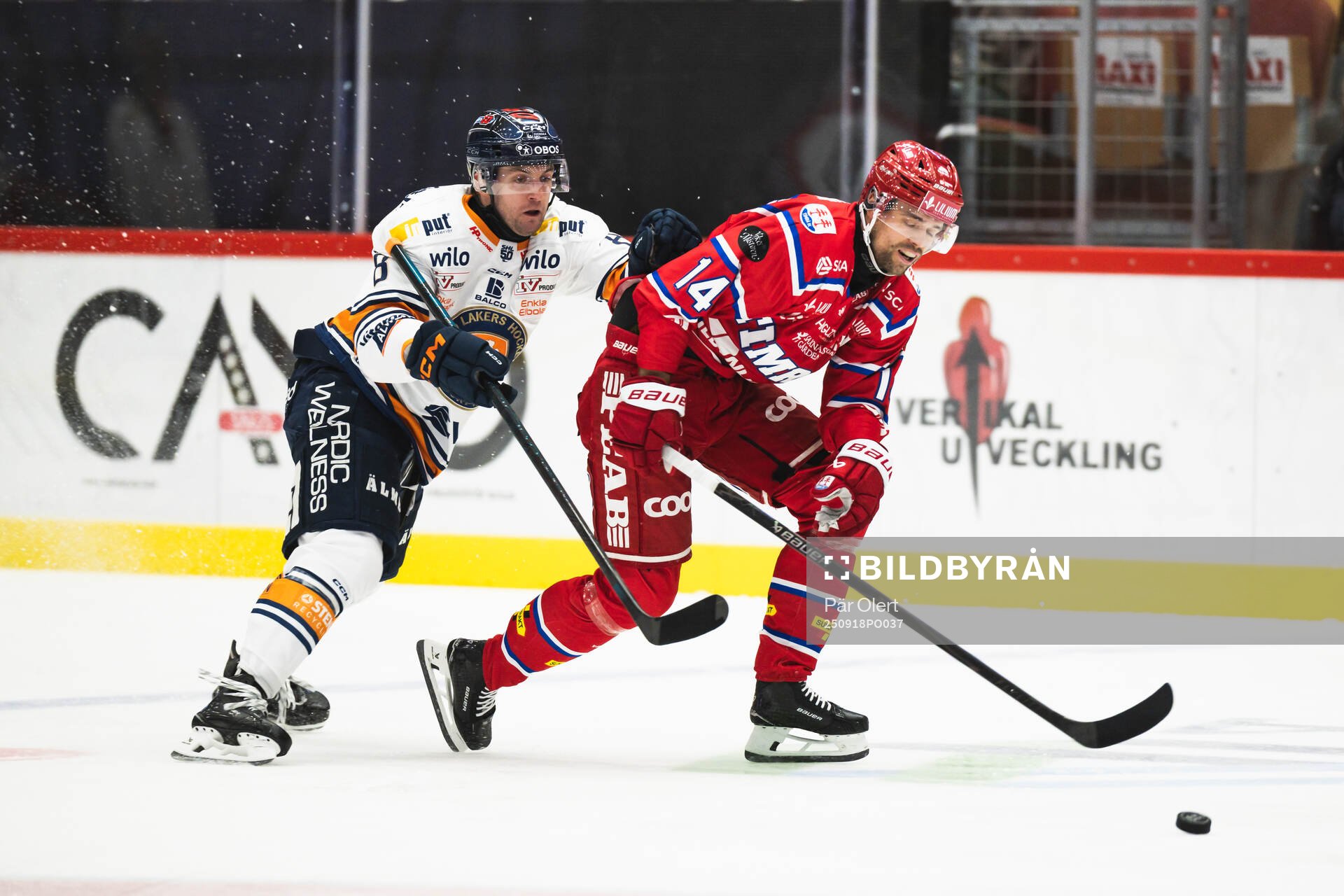 Växjös Zachary Giuttari och Timrås Emil Pettersson