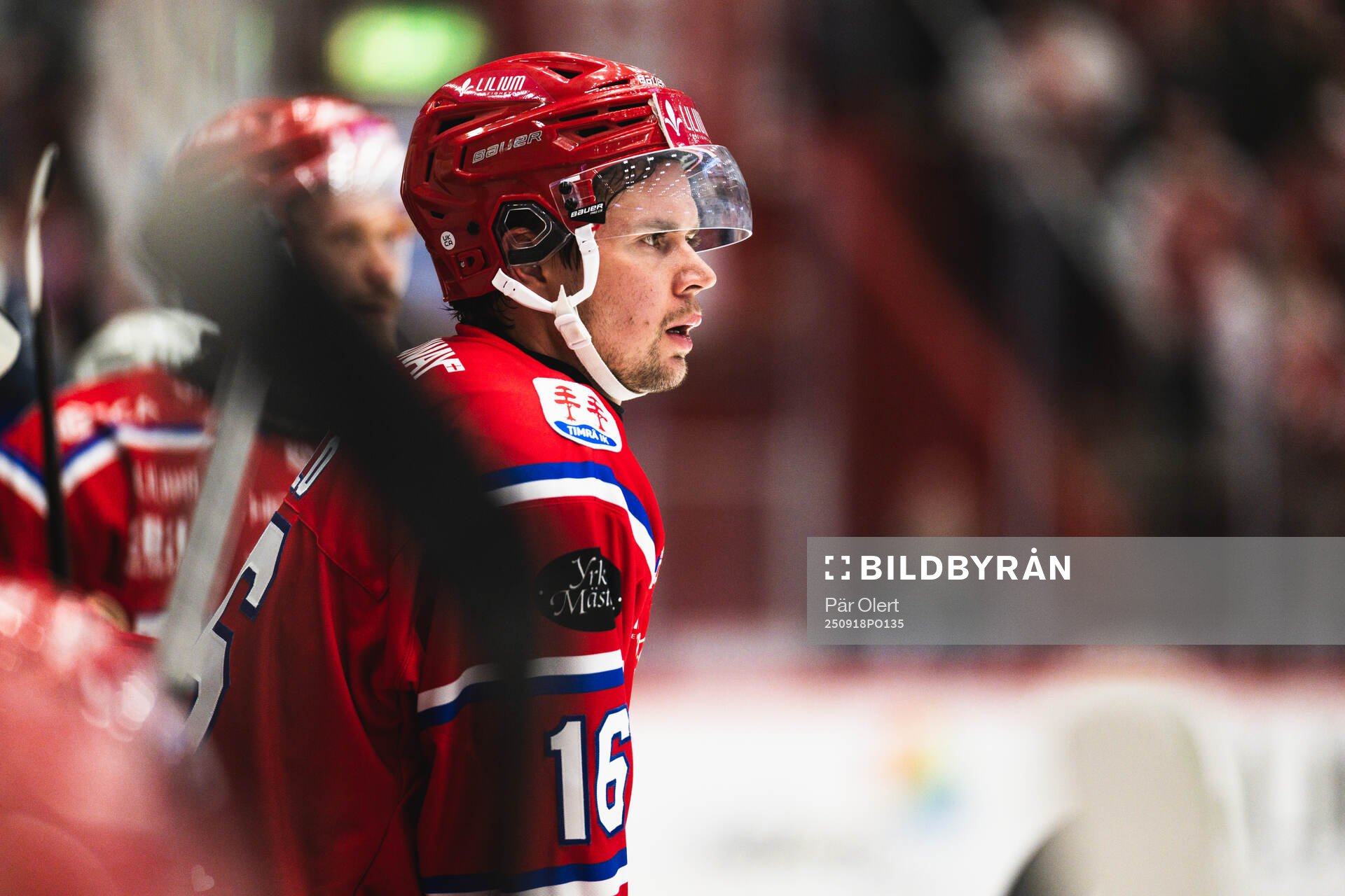 Timrås Lukas Pilö