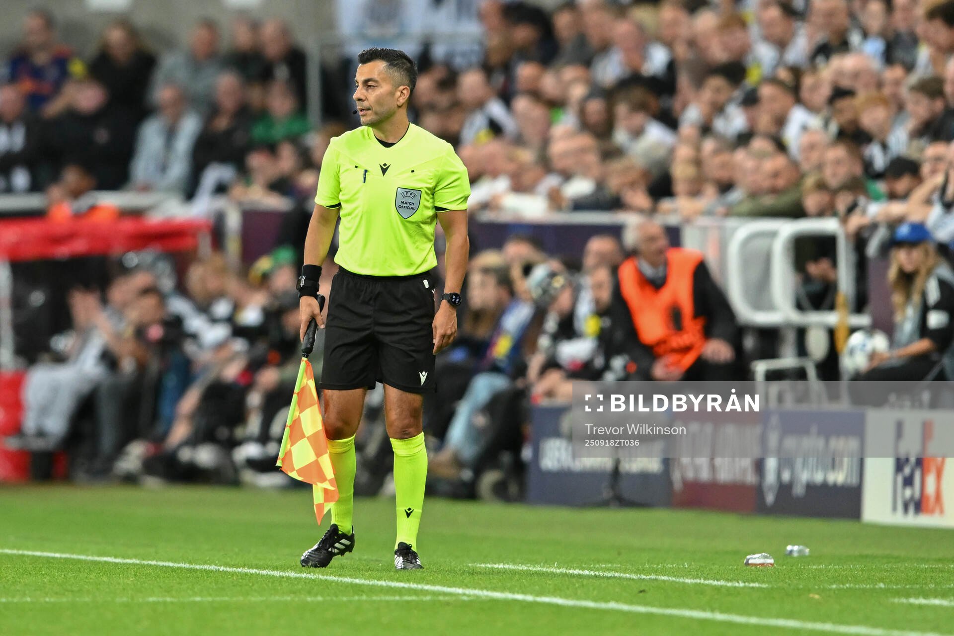 Assistant referee Mahbod Beigi