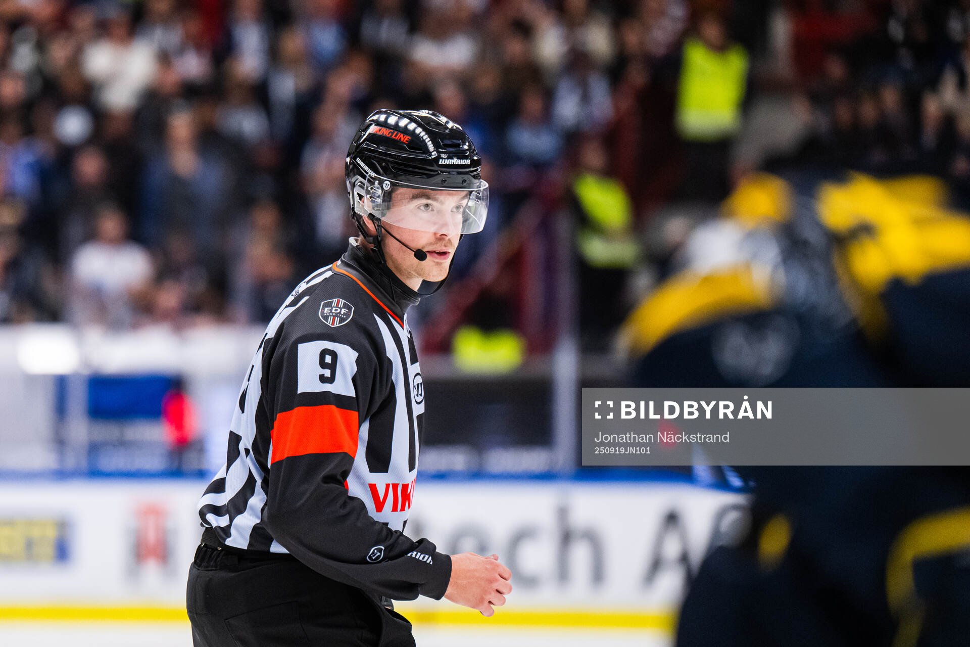 Domare Filip Eriksson