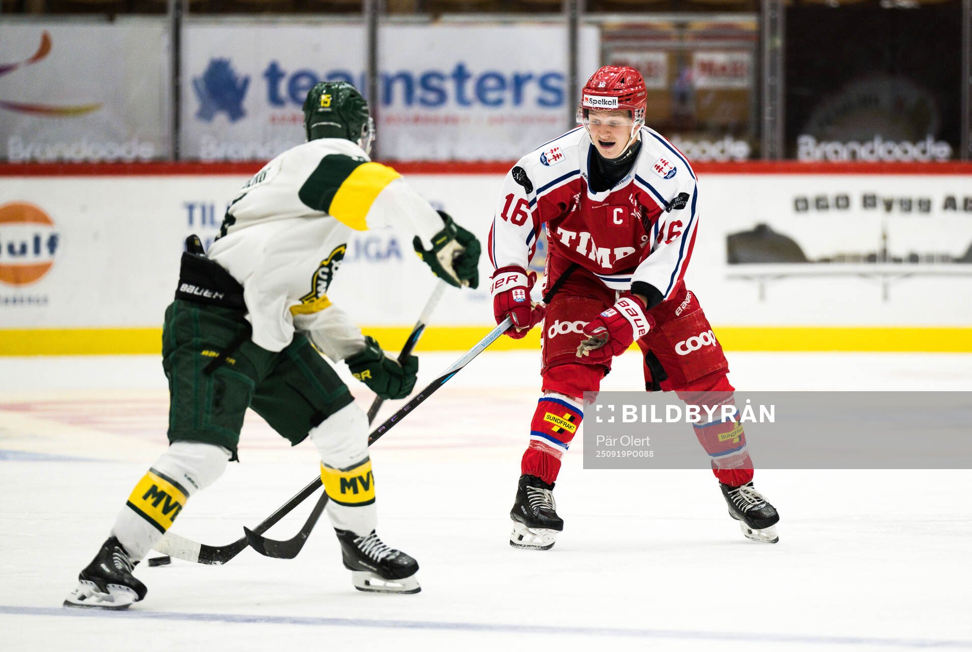 Timrås Alve Johansson