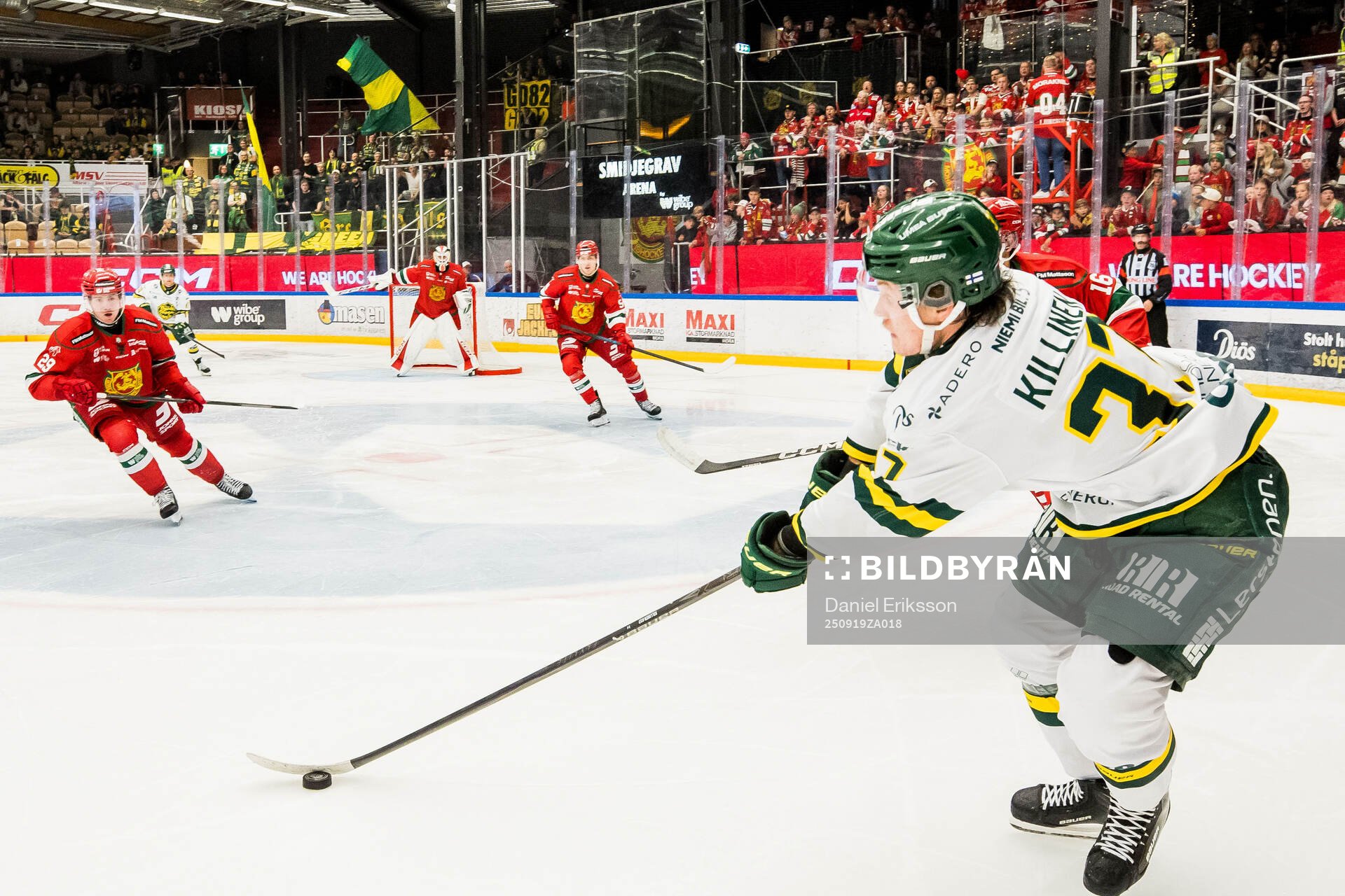 Björklövens Lenni Killinen