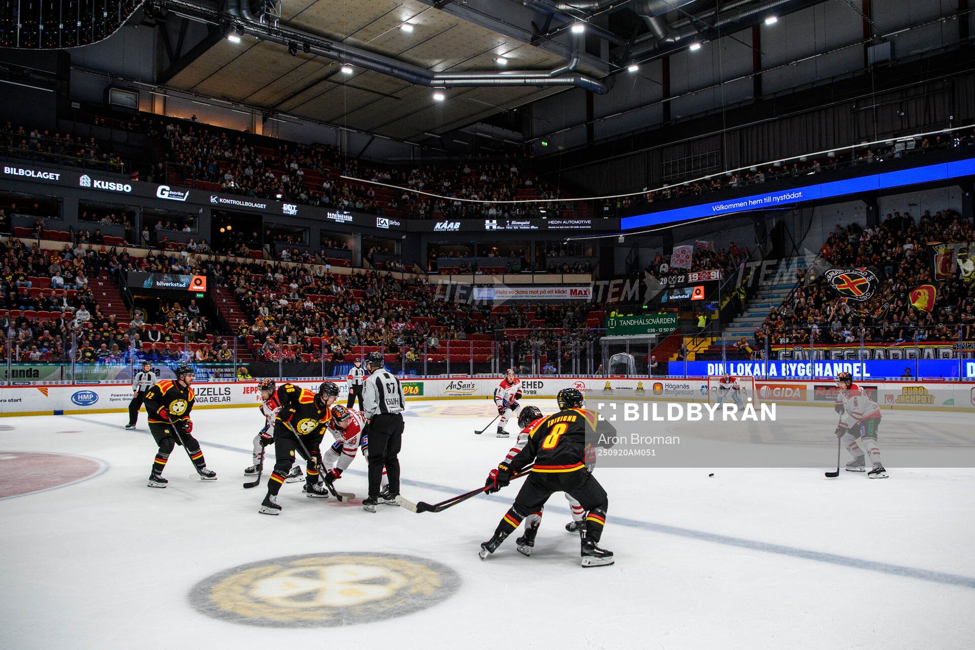 Monitor ERP Arena