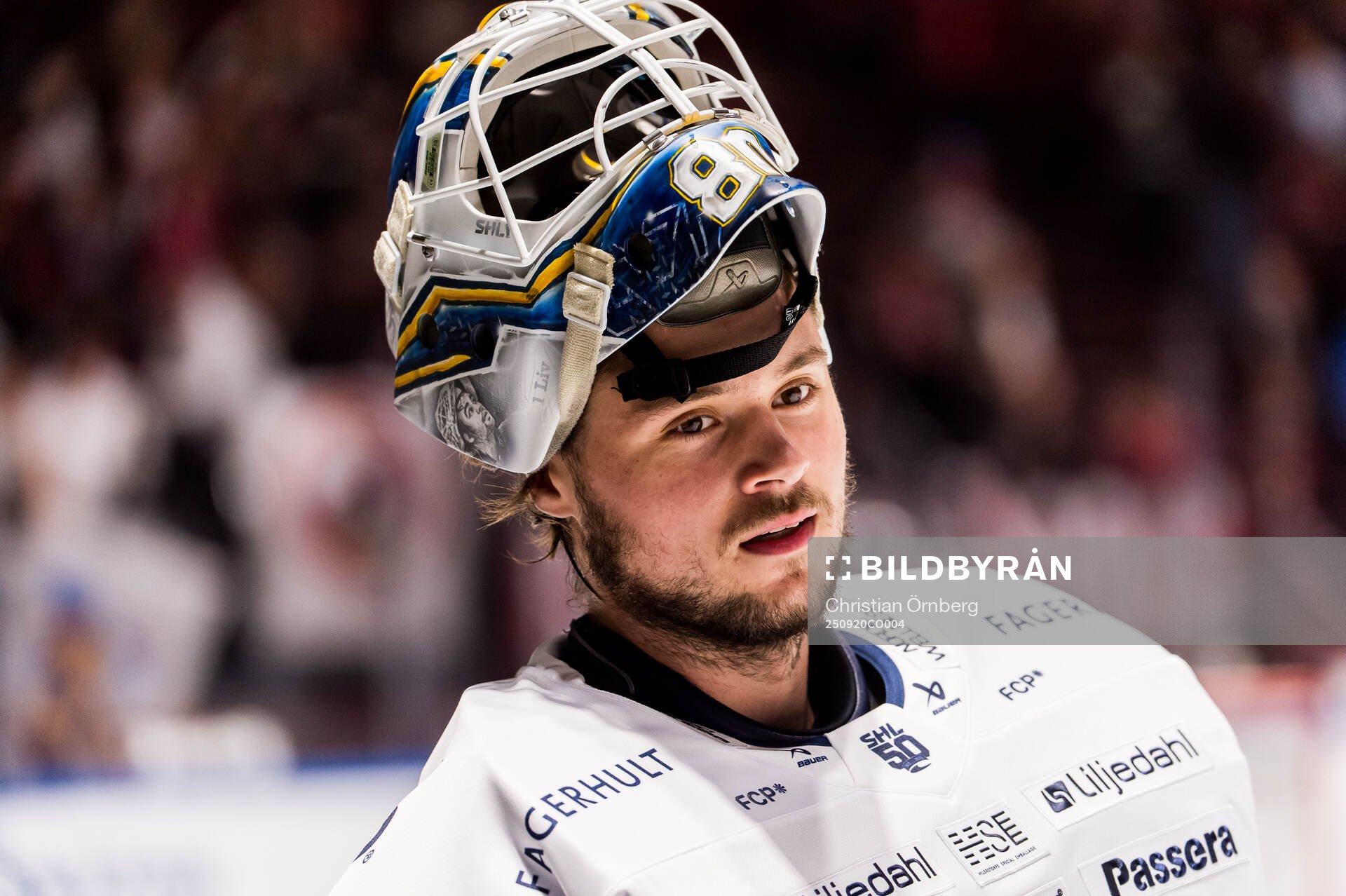 HV71s målvakt Frederik Dichow