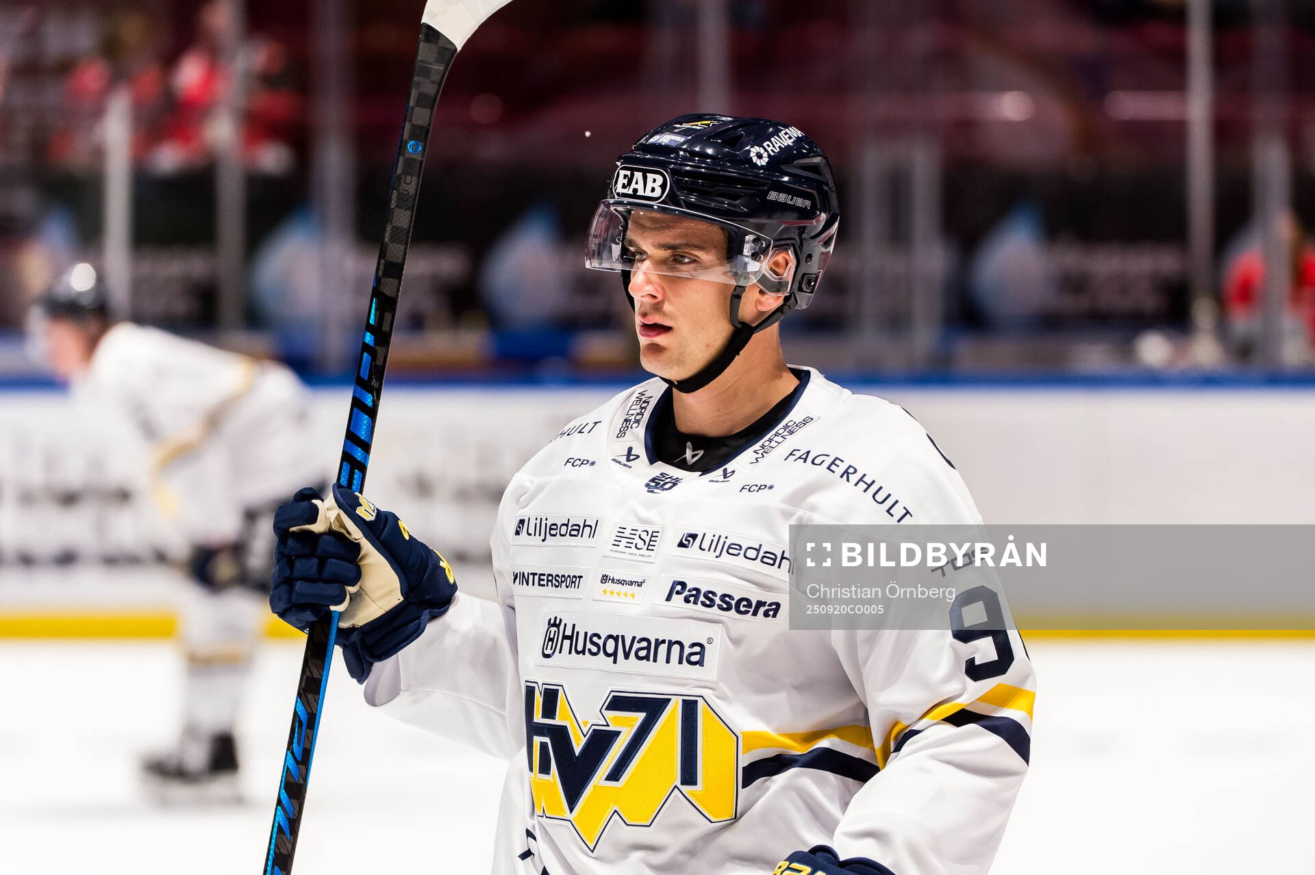 HV71s Nikola Pasic