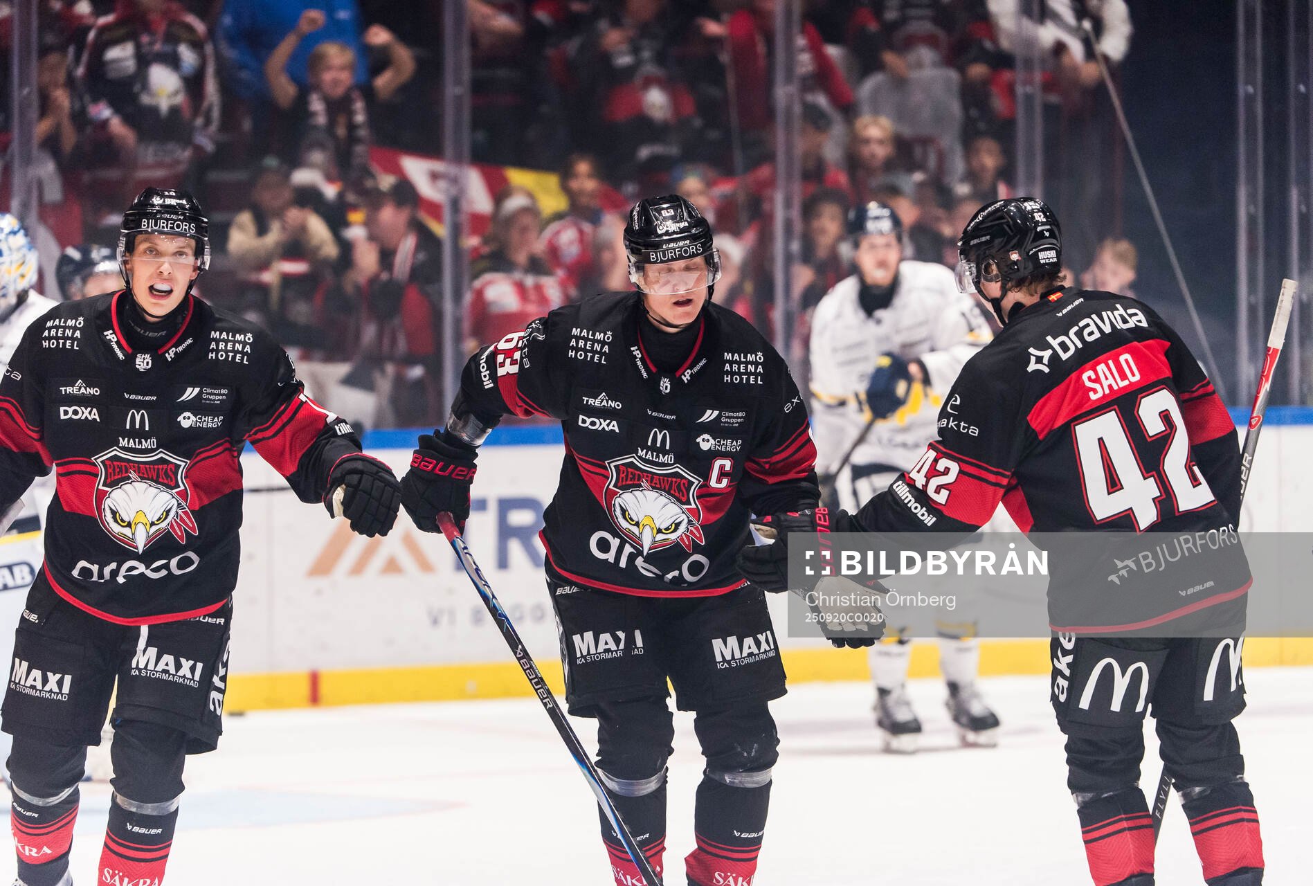 Malmö Redhawks William Von Barnekow, Fredrik Händemark