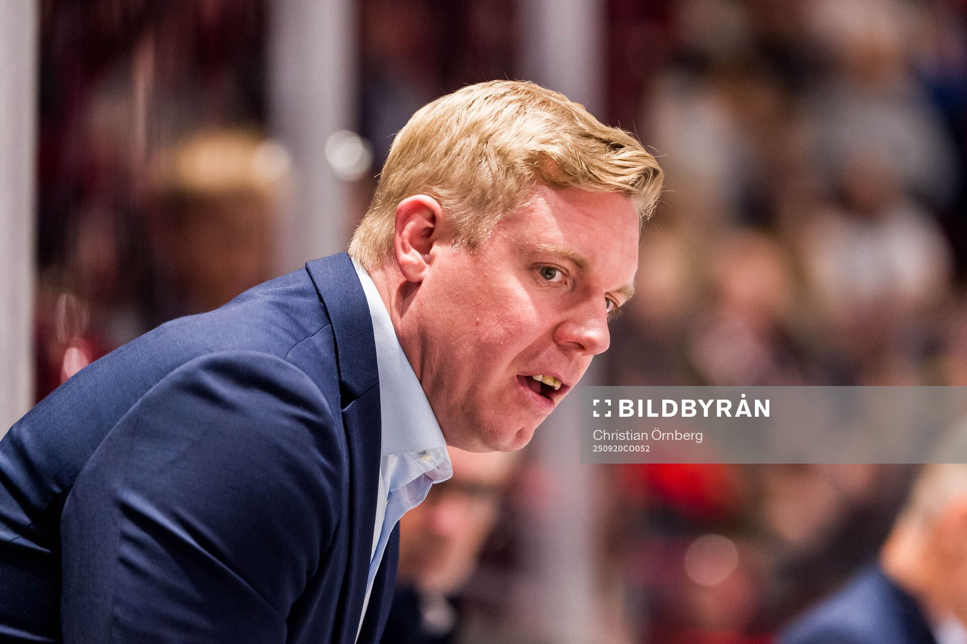 HV71s tränare Anton Blomqvist