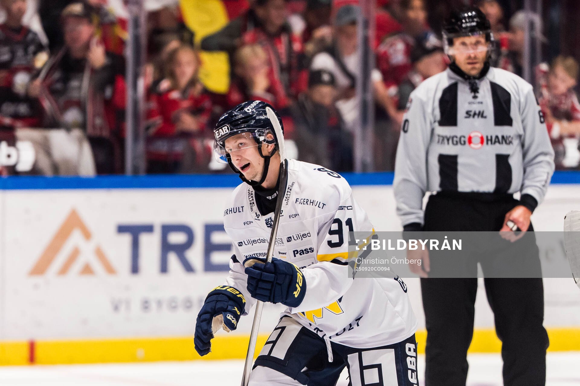 HV71s Aleksi Heponiemi jublar