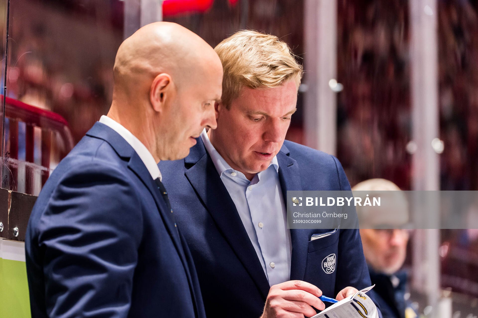 HV71s tränare Anton Blomqvist