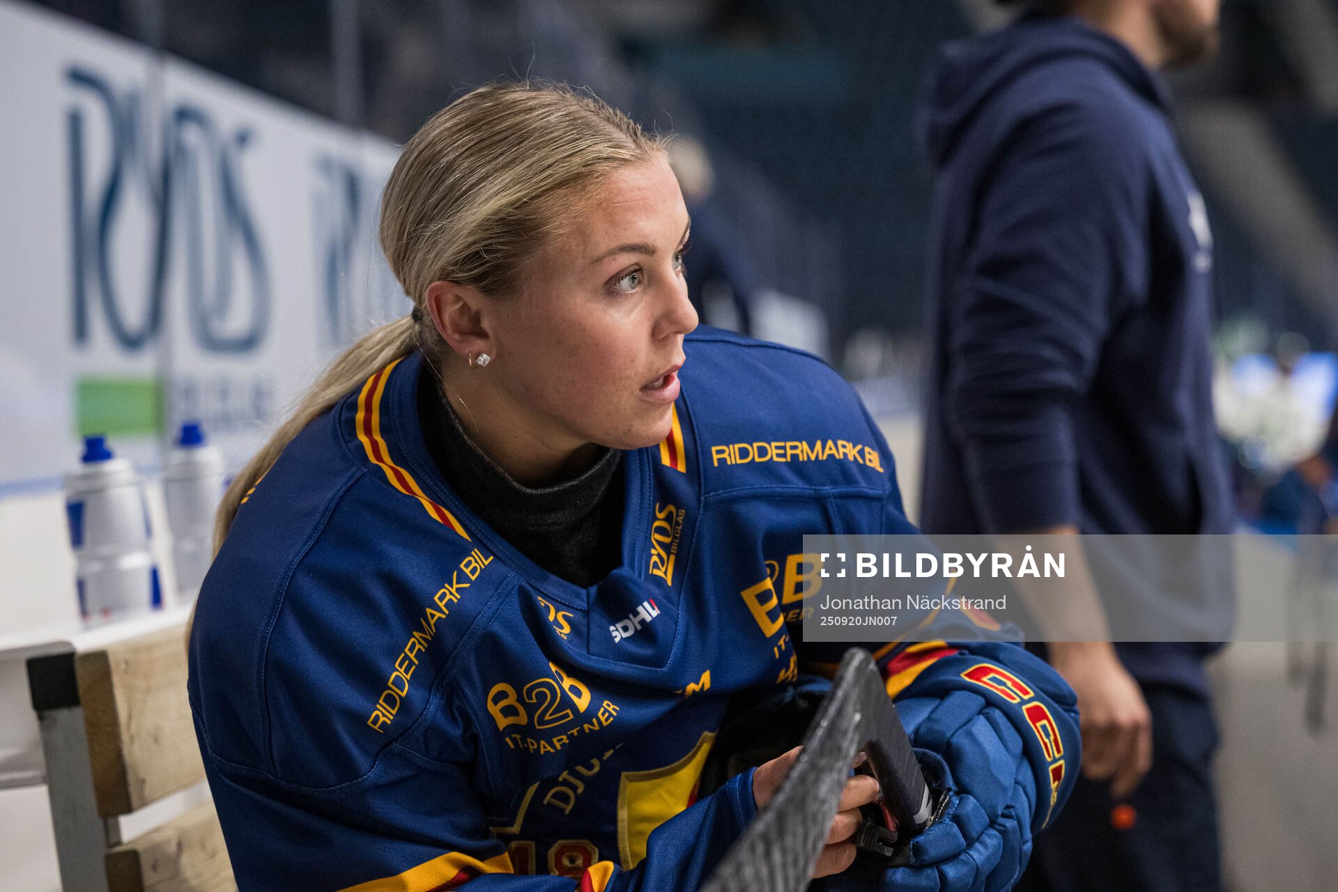 Djurgårdens Brette Pettet