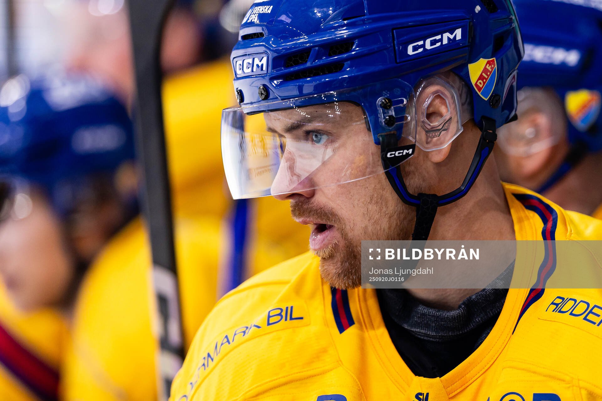 Djurgårdens Daniel Brodin