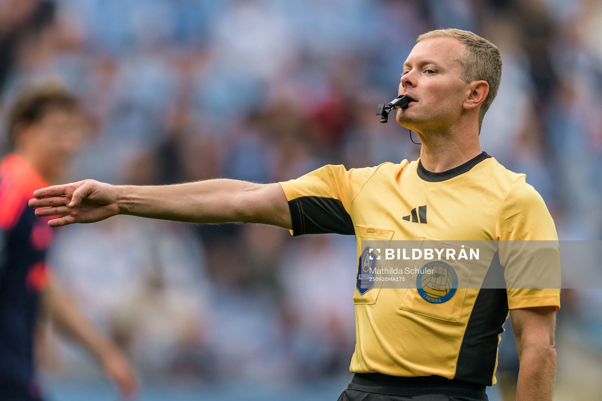 Domare Fredrik Klitte