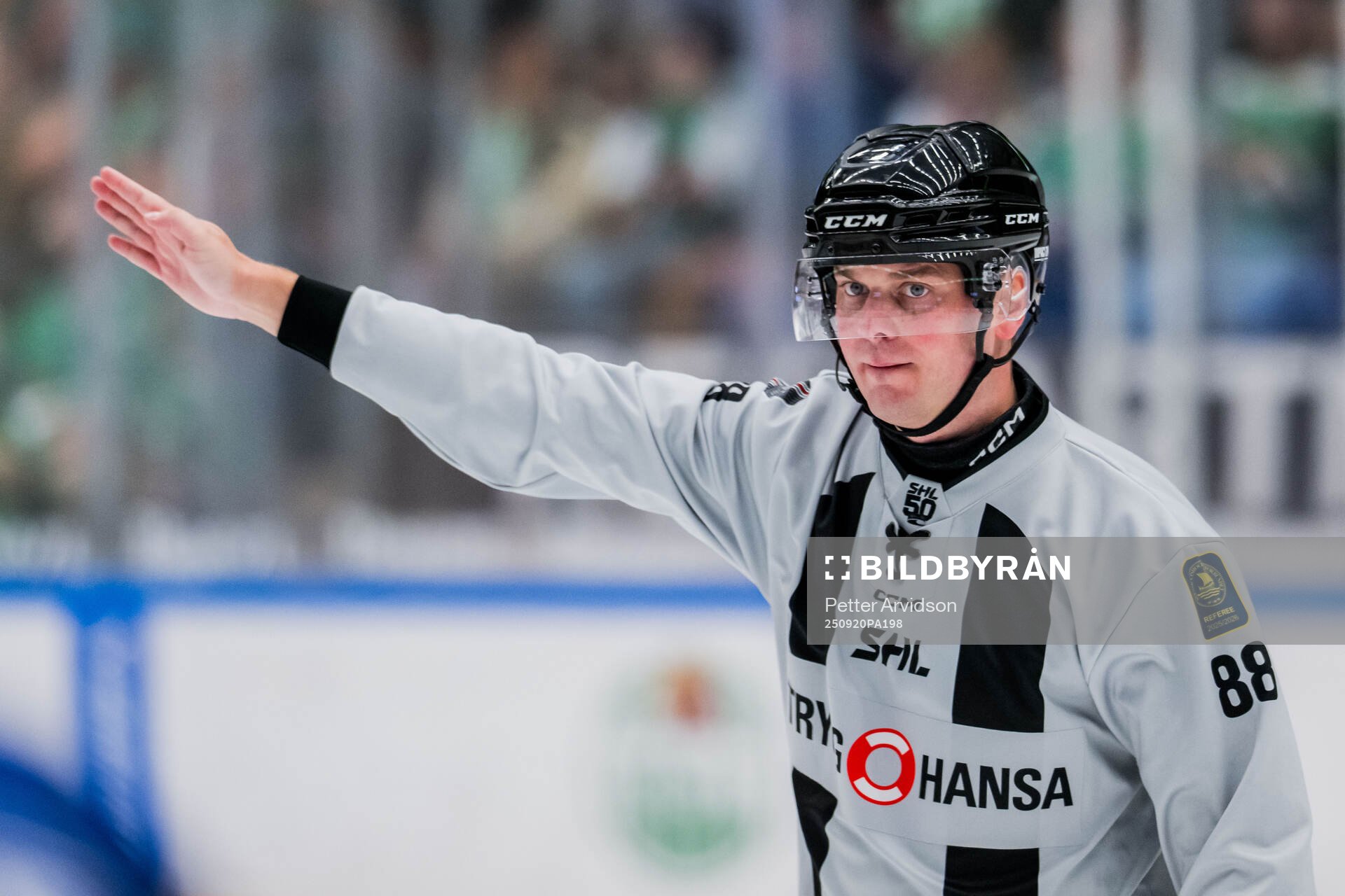 Linjedomare Daniel Persson