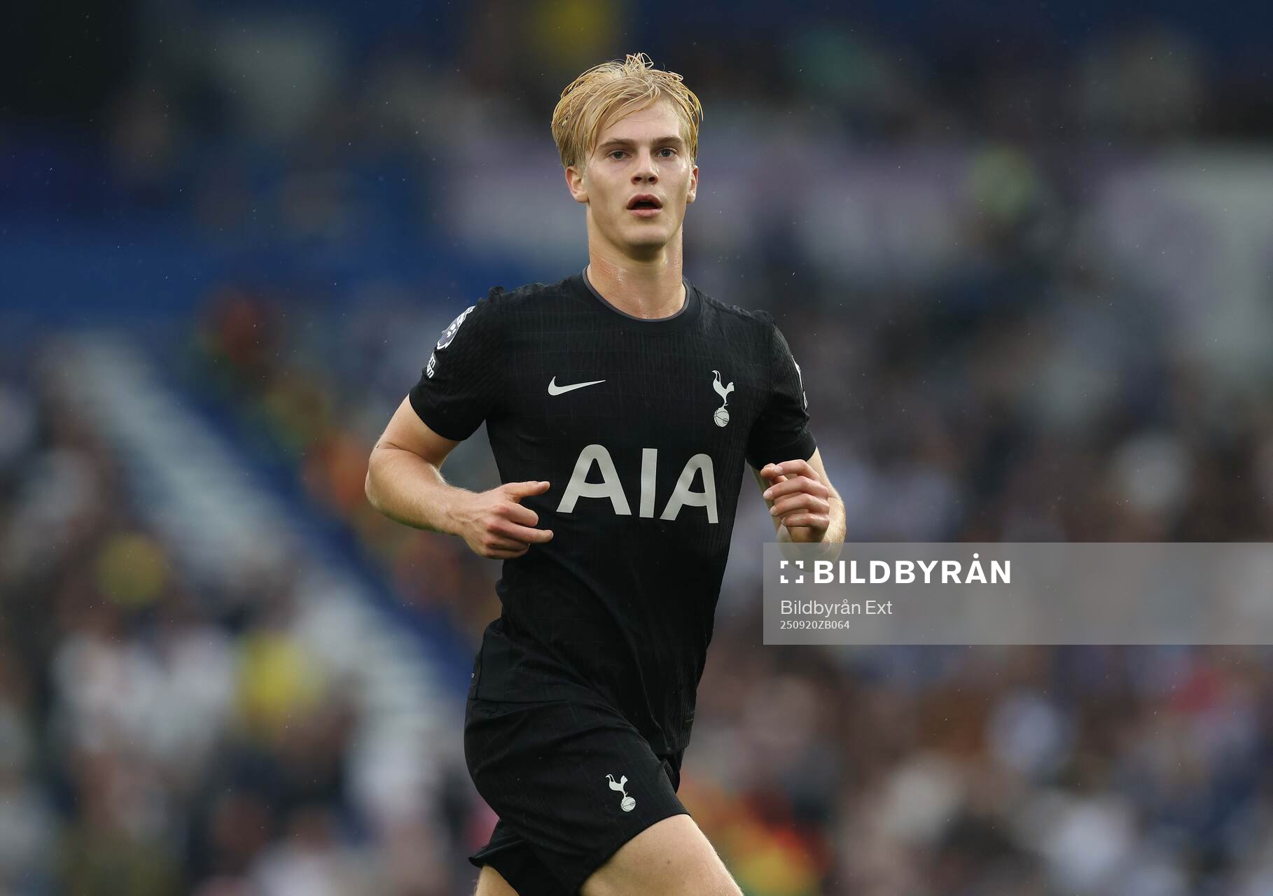 Lucas Bergvall of Tottenham