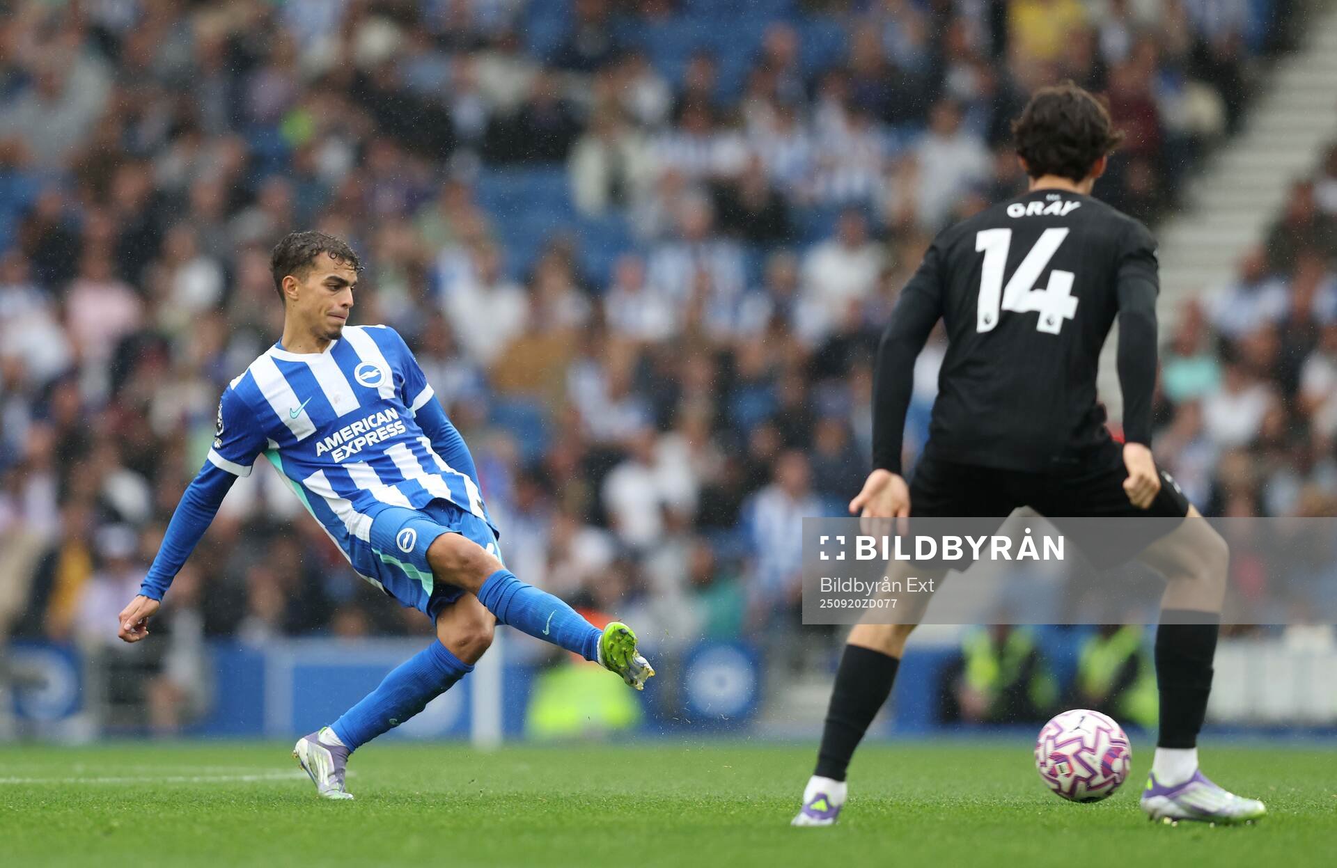 Yasin Ayari of Brighton