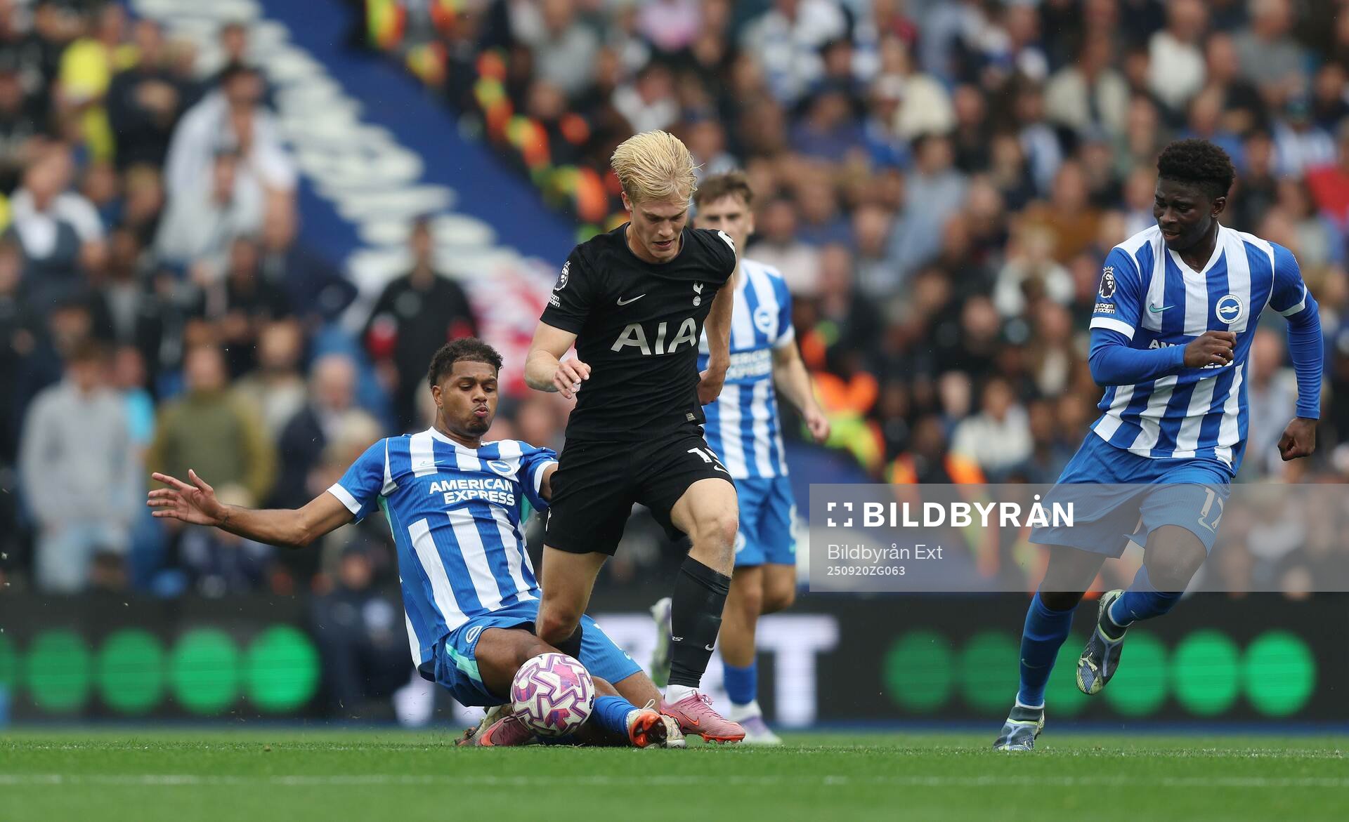 Lucas Bergvall of Tottenham
