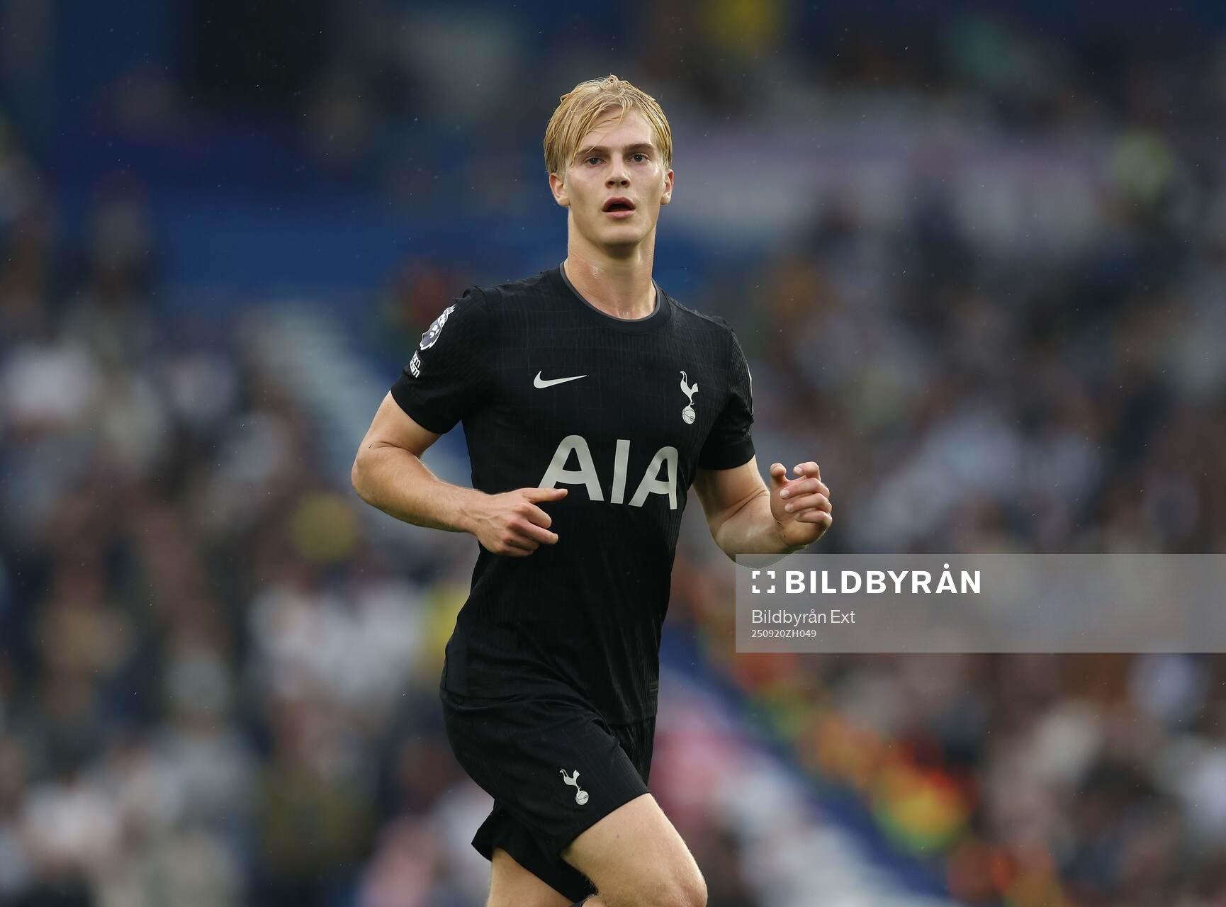 Lucas Bergvall of Tottenham