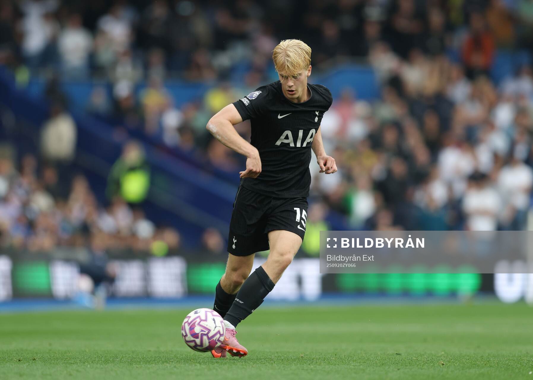 Lucas Bergvall of Tottenham