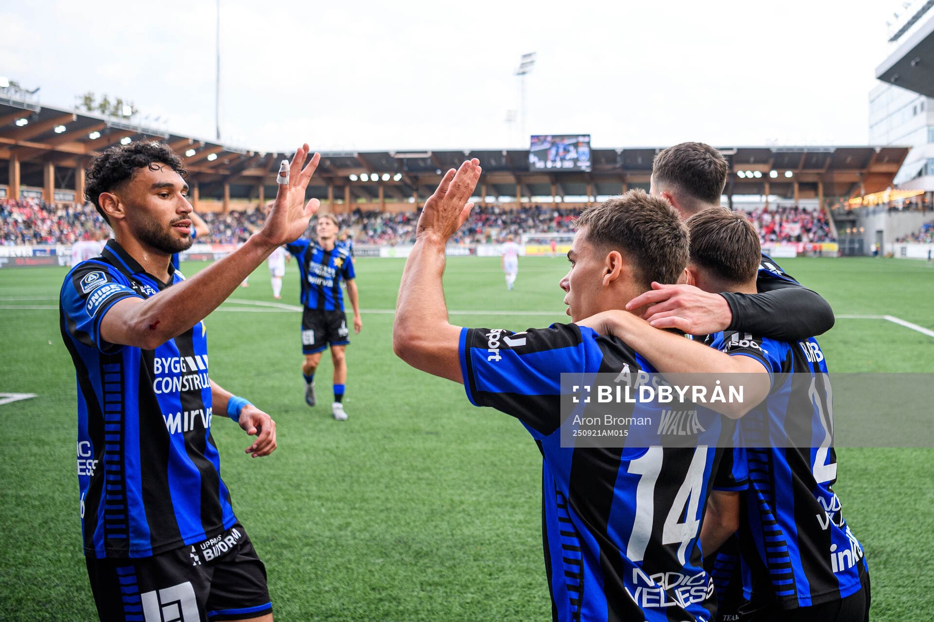 Sirius Leo Walta jublar