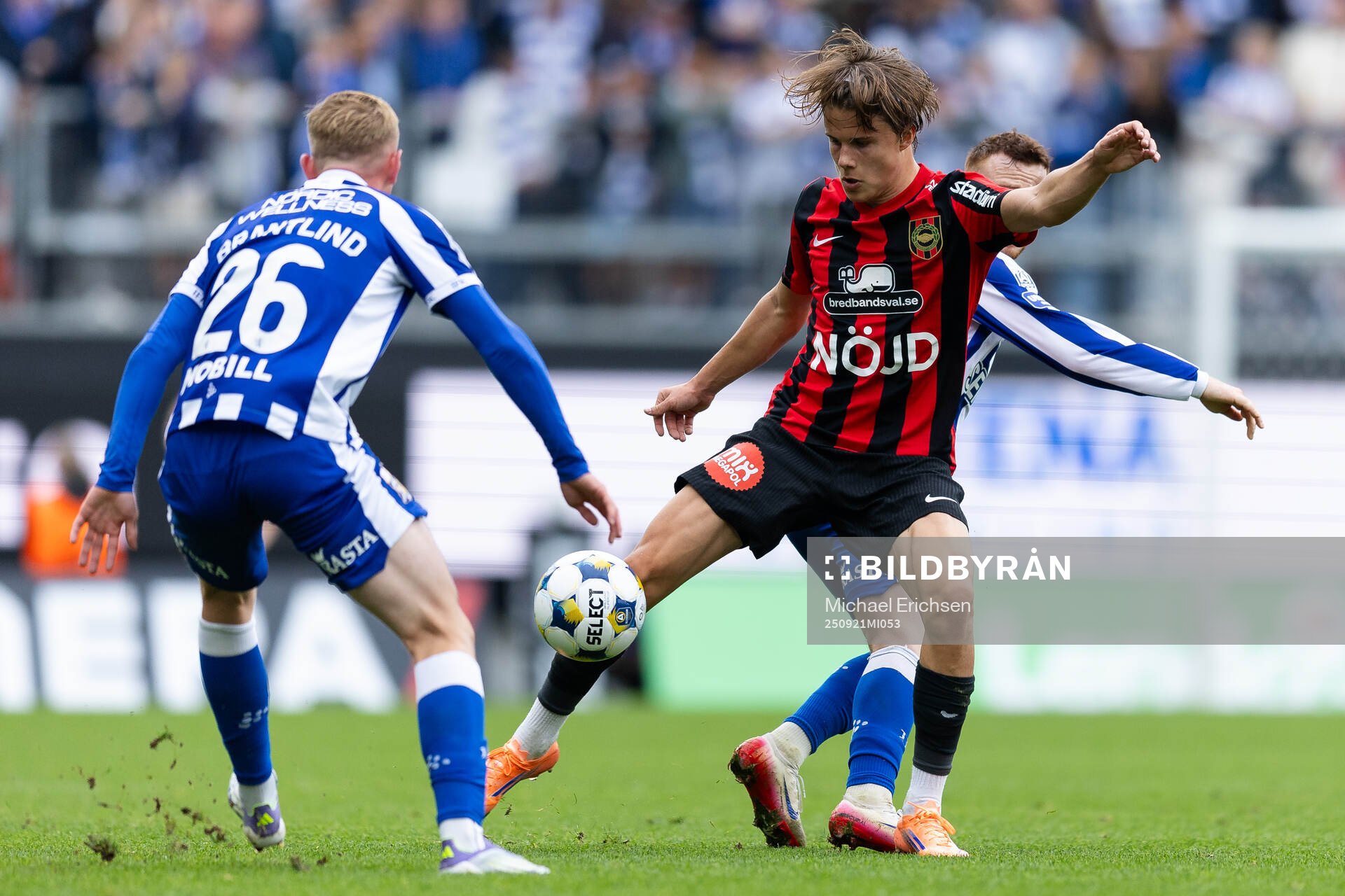 Brommapojkarnas Love Arrhov