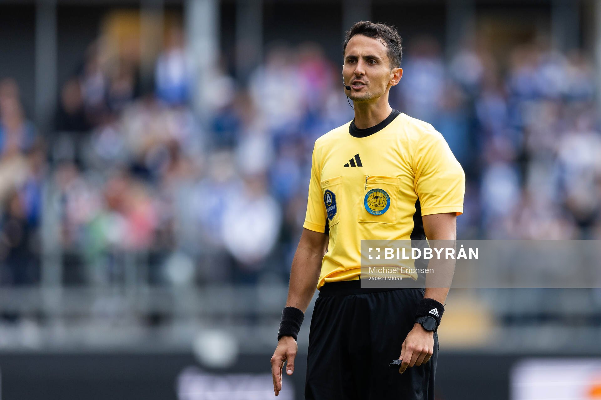 Domare Adi Aganovic