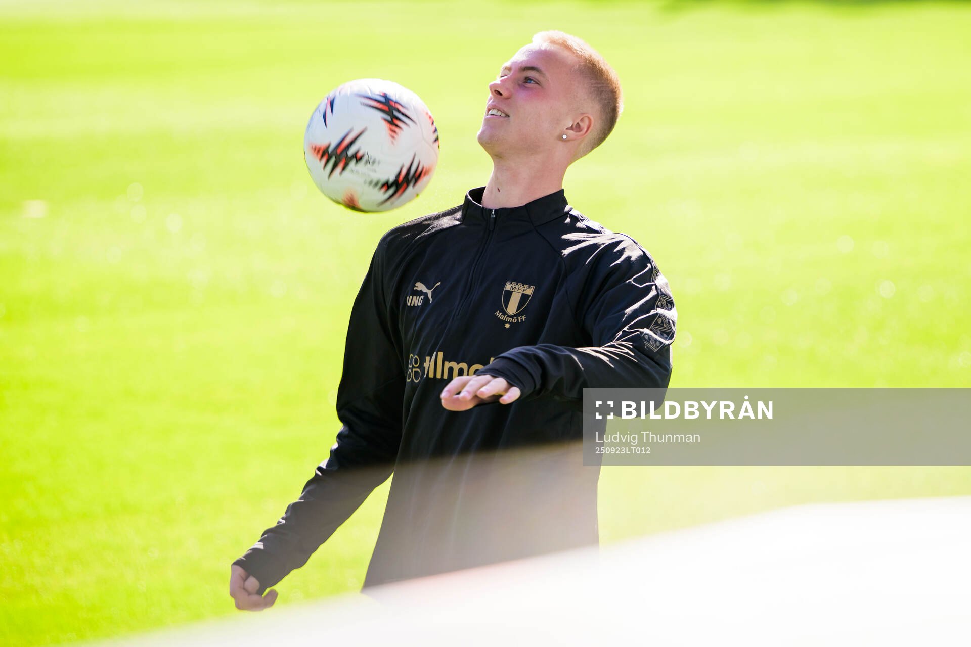 Daniel Gudjohnsen