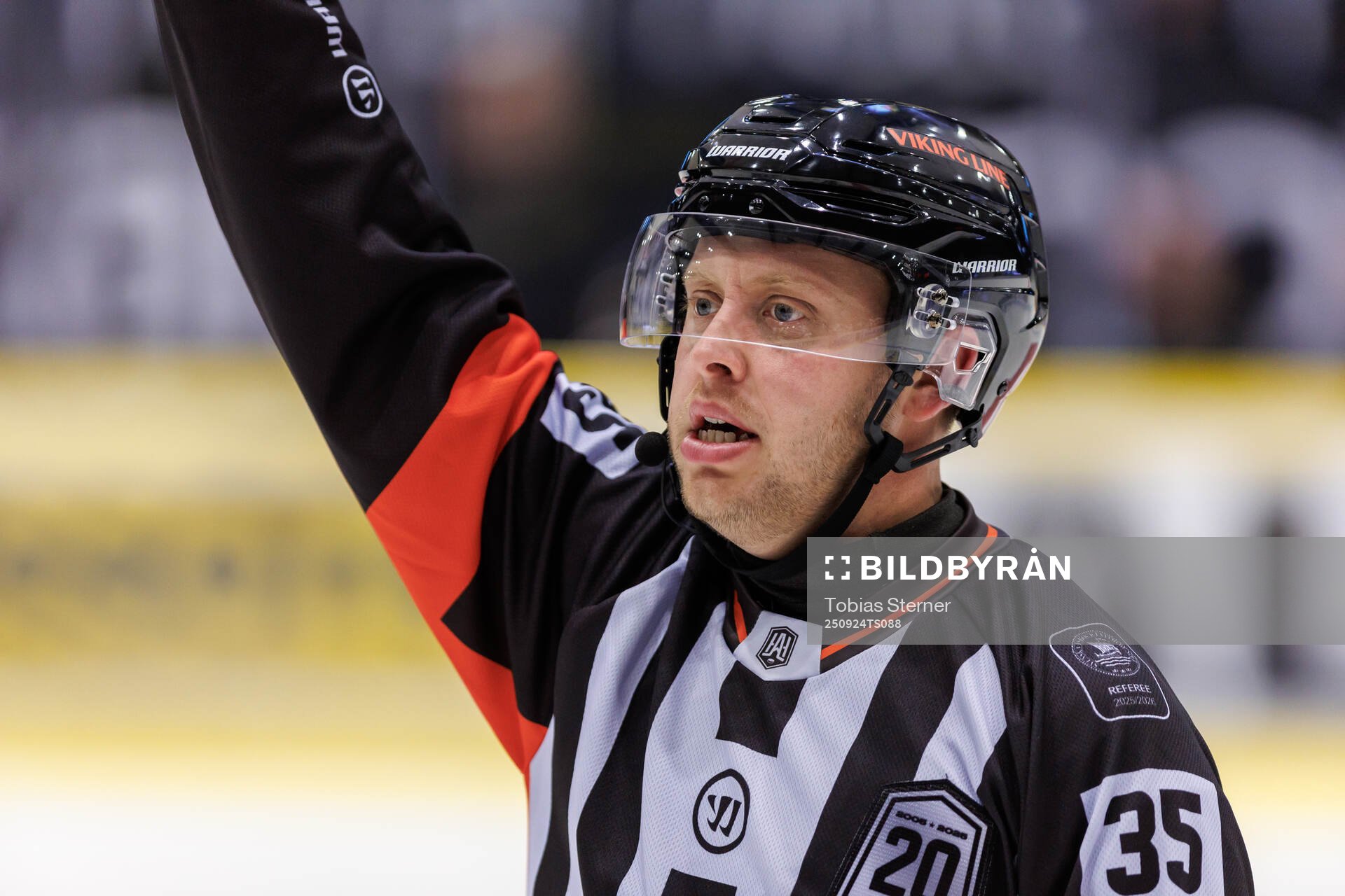 Domare Joakim Flink